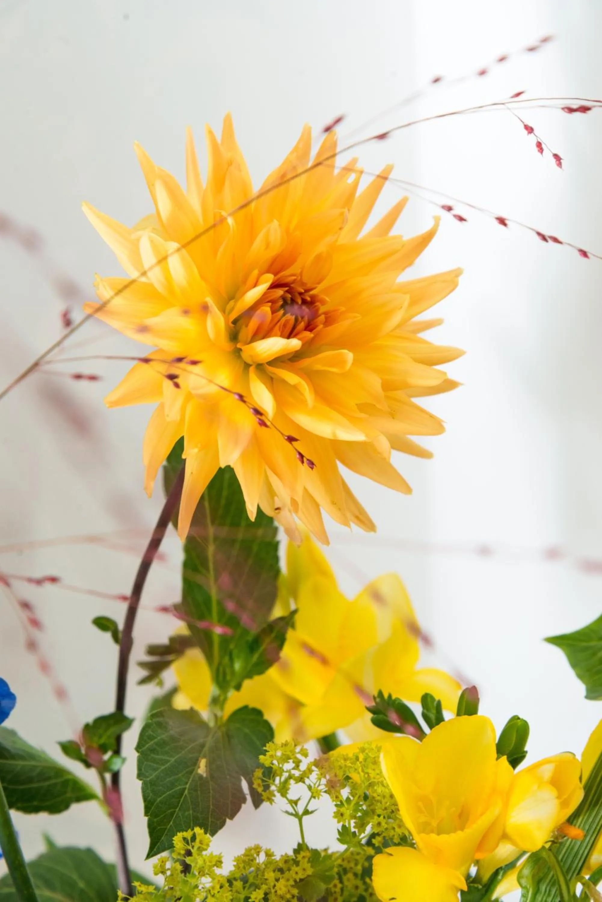 Decorative detail in Bed en Breakfast Puur8a
