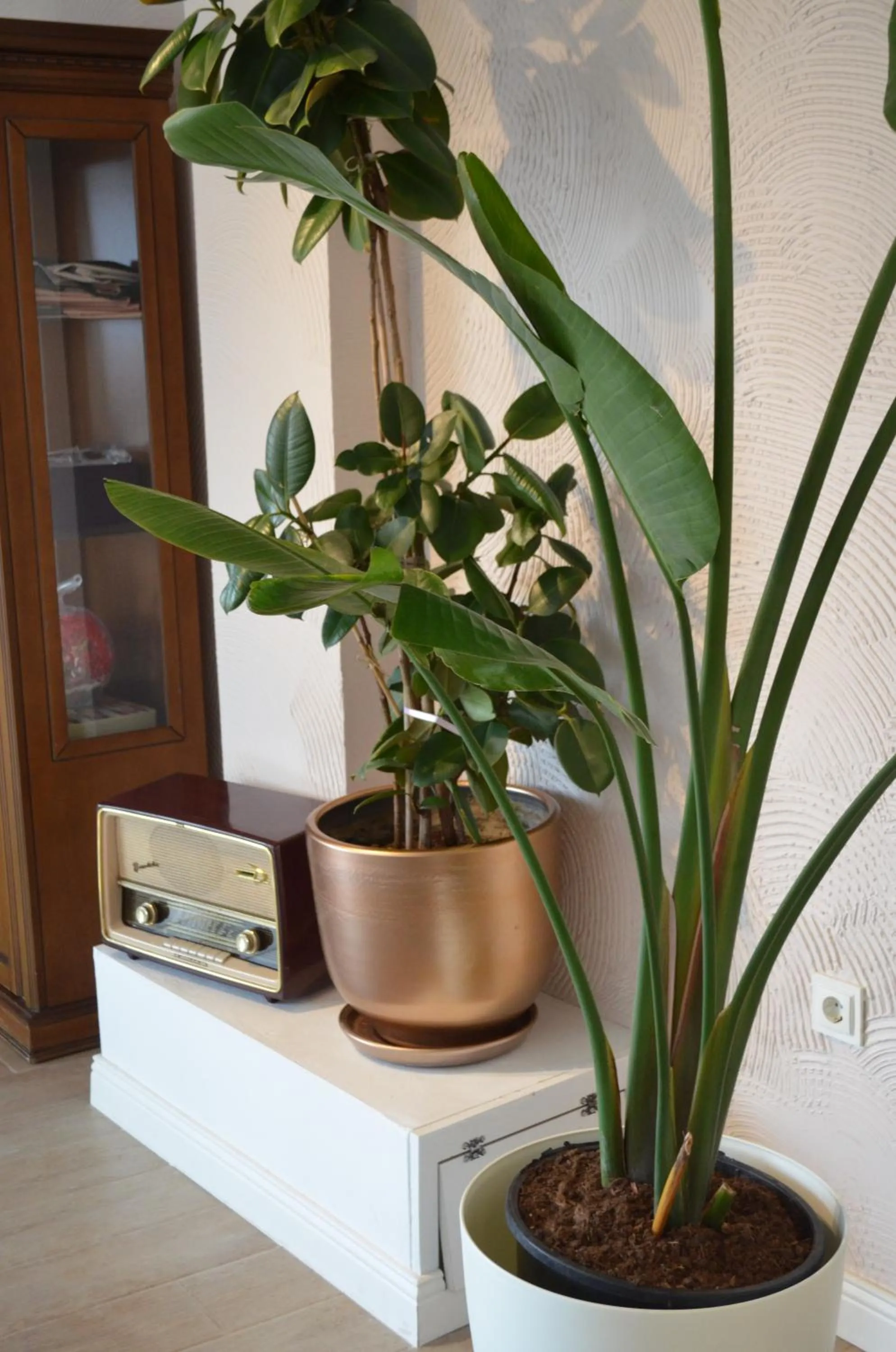 Decorative detail in Yankı Hotel