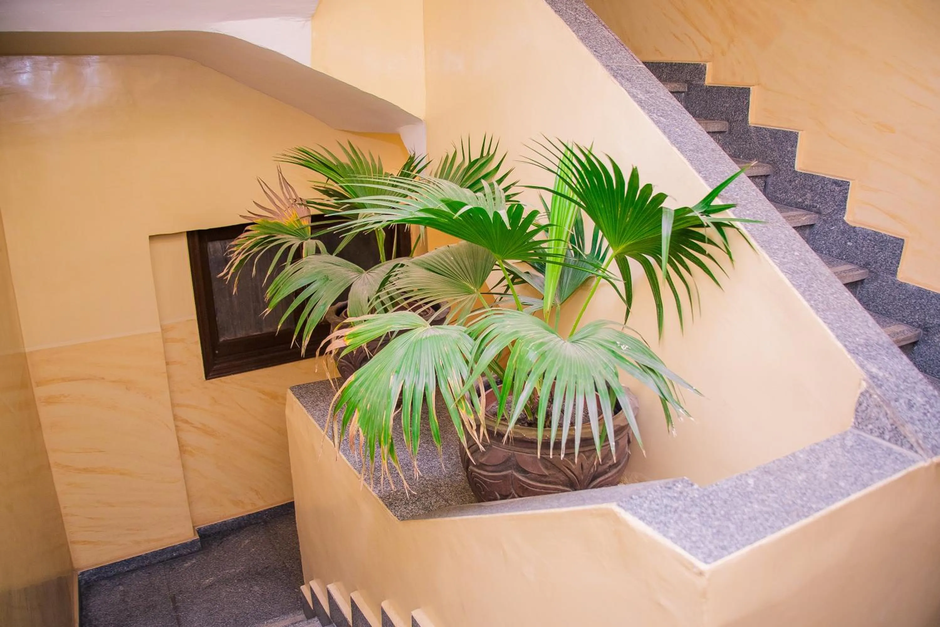 Other in Guardian Guest House