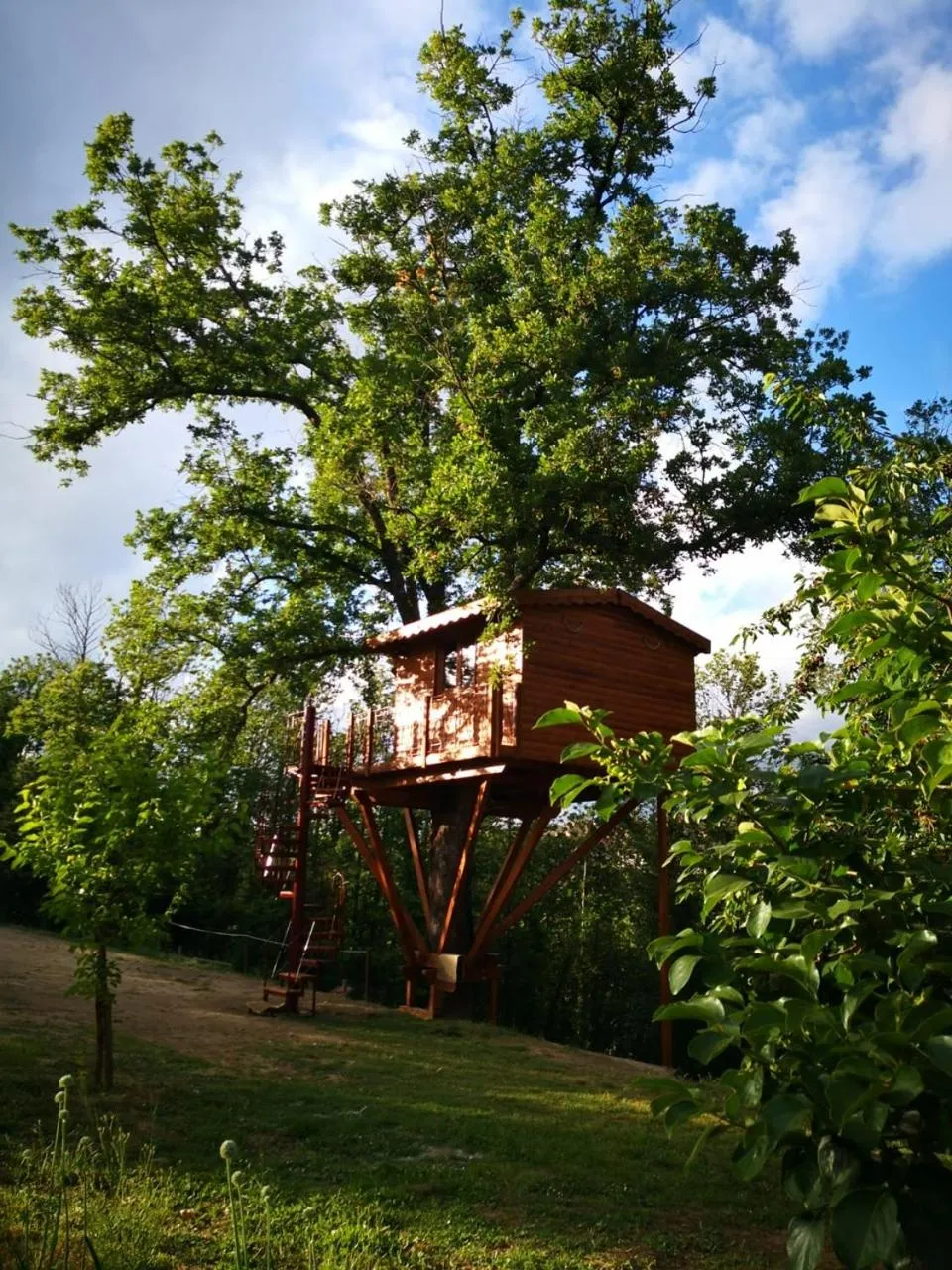 Facade/entrance in Casa sull'albero Bocchineri