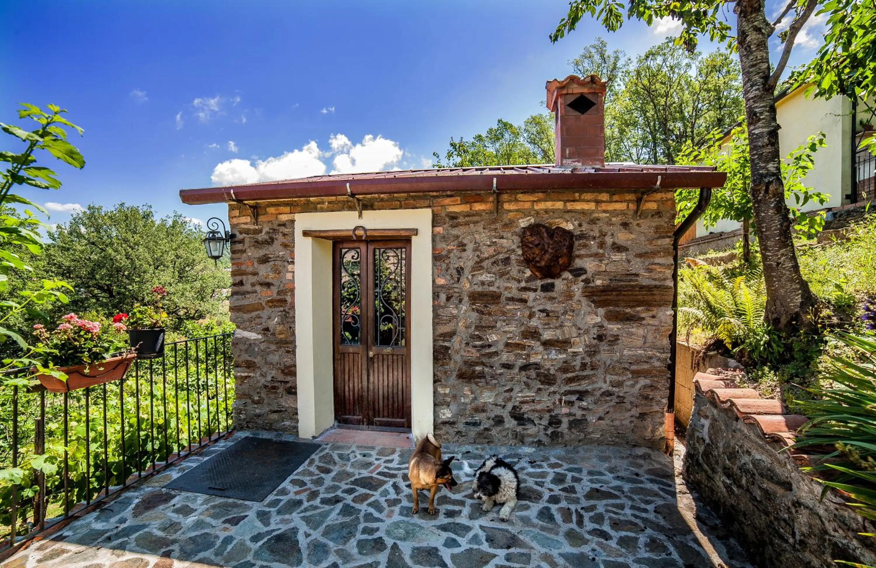 Entertainment in Casa sull'albero Bocchineri