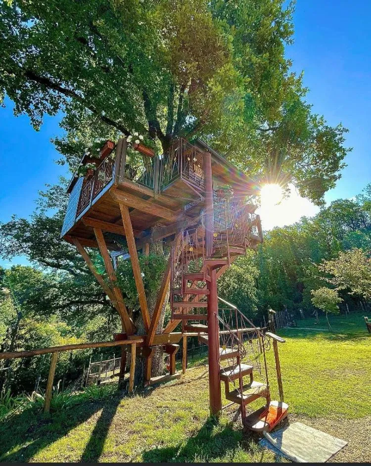 Casa sull'albero Bocchineri