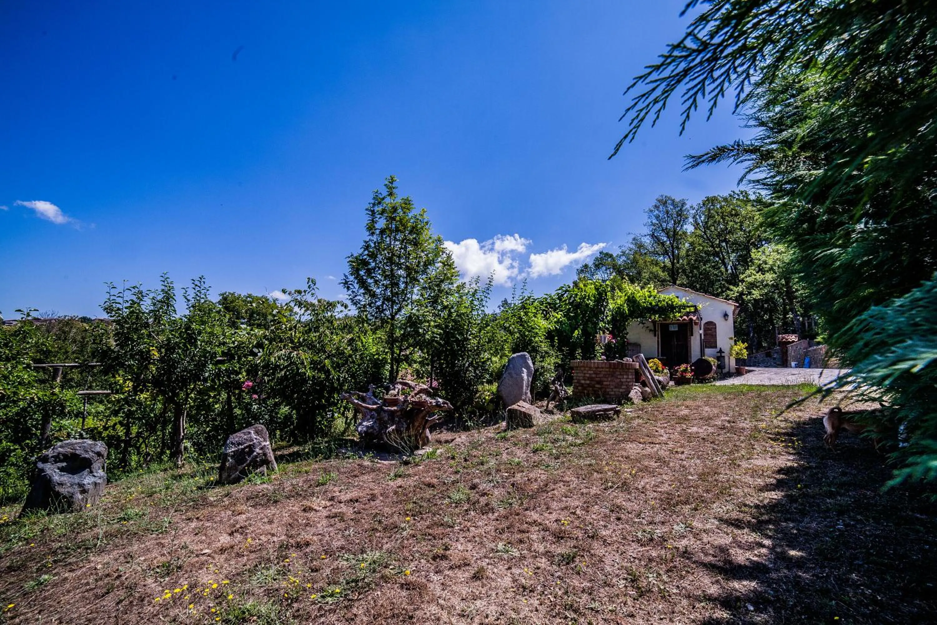 Garden in Casa sull'albero Bocchineri