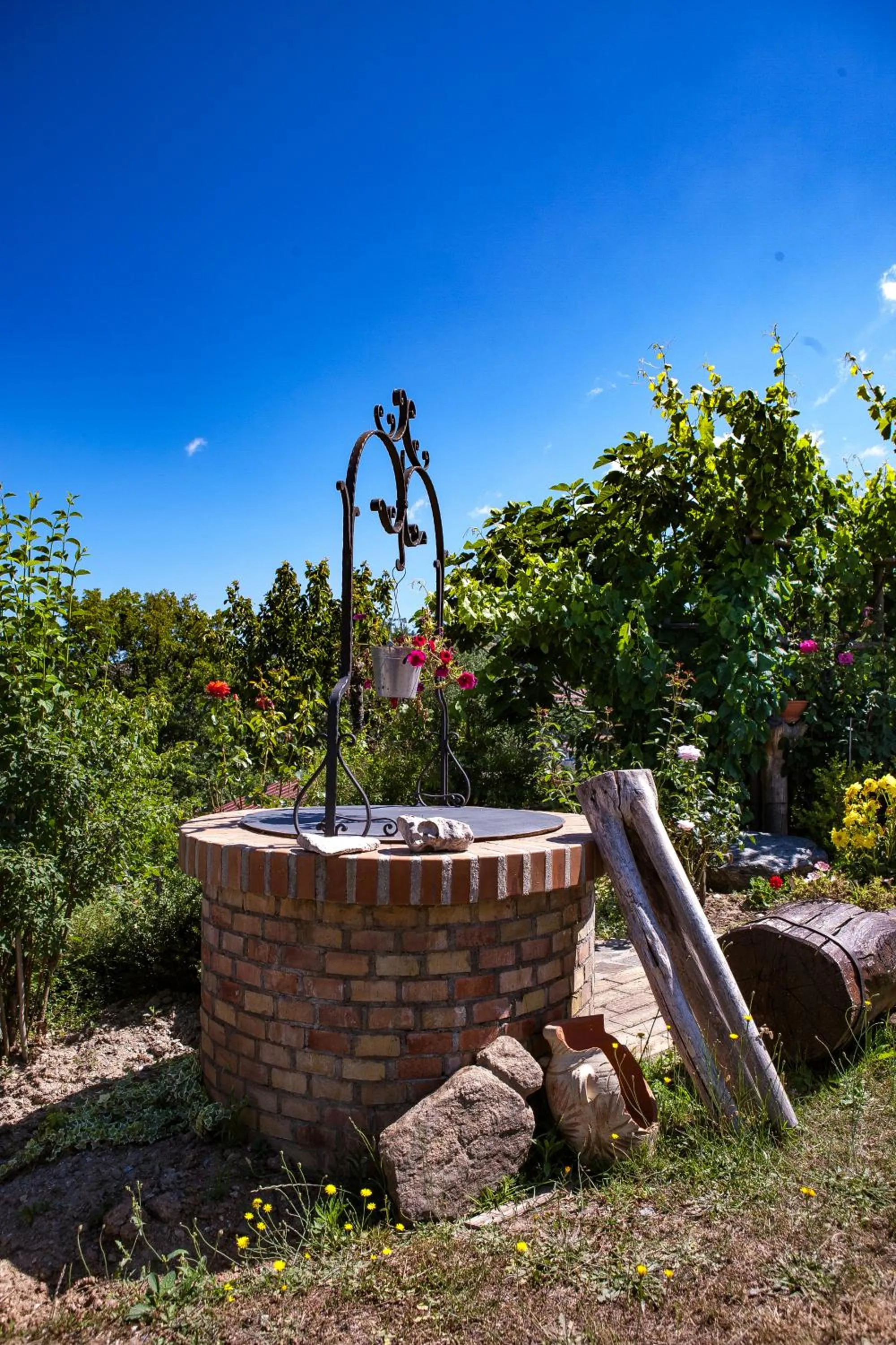 Natural landscape in Casa sull'albero Bocchineri