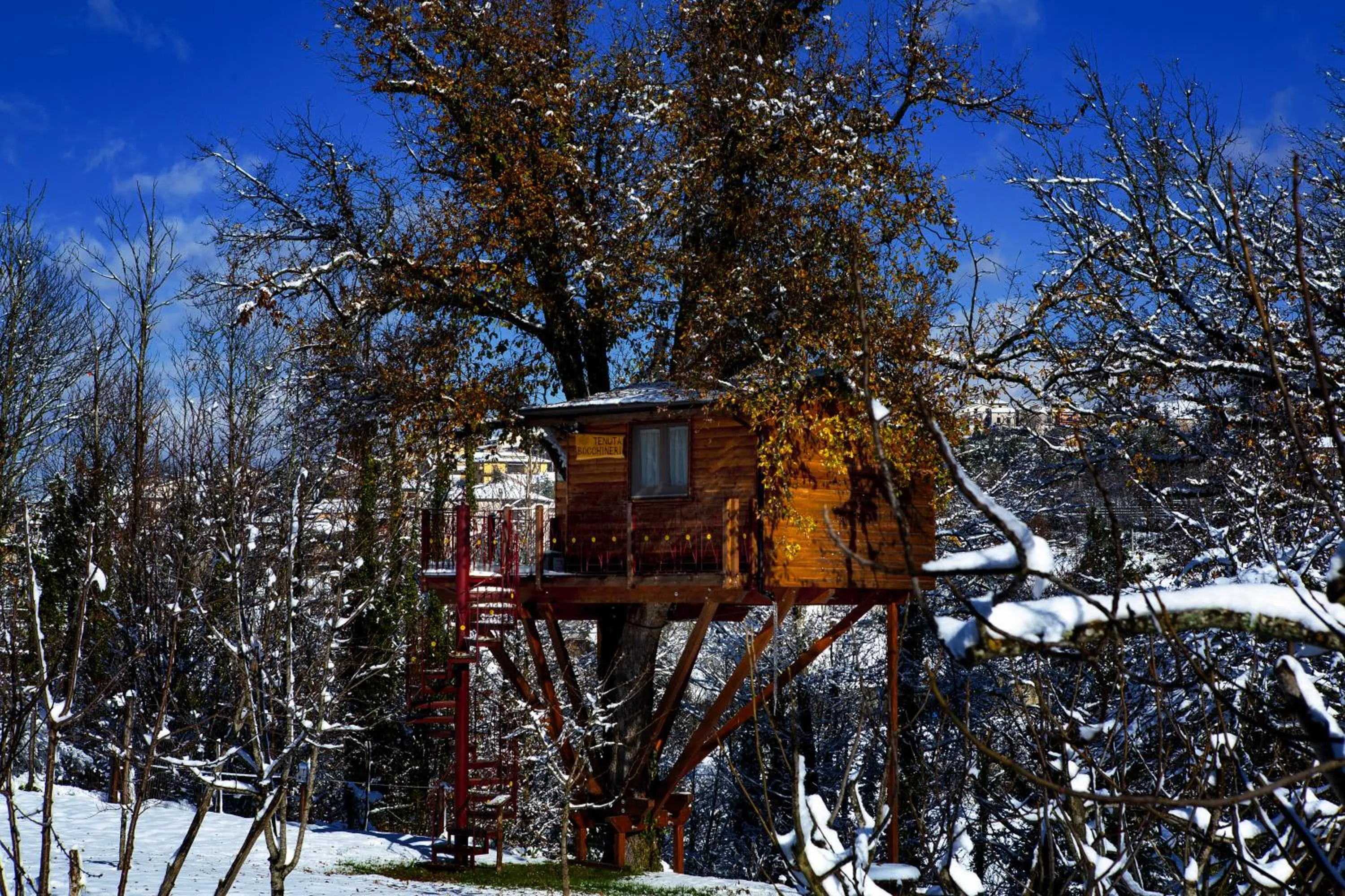 Casa sull'albero Bocchineri