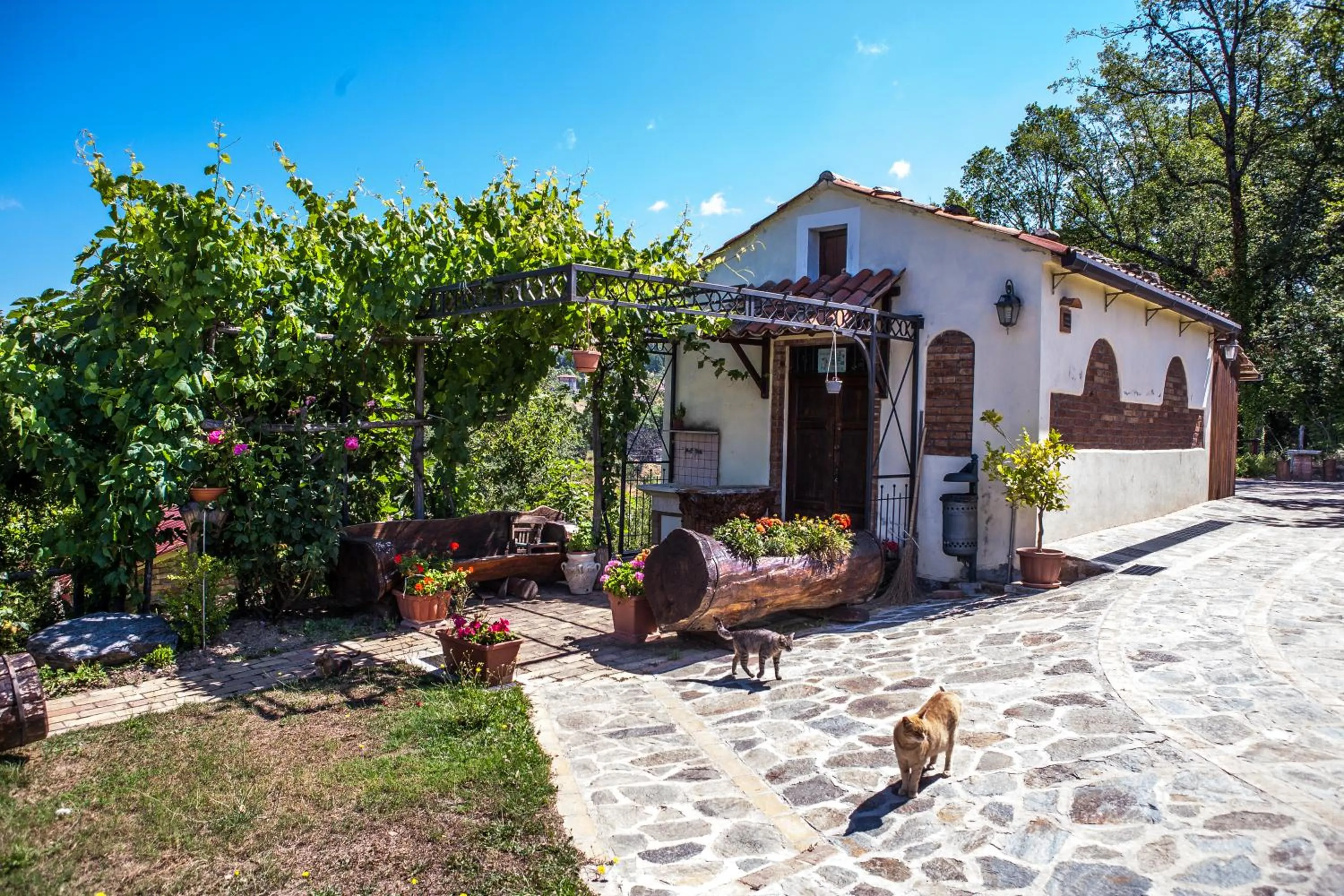 Property building in Casa sull'albero Bocchineri