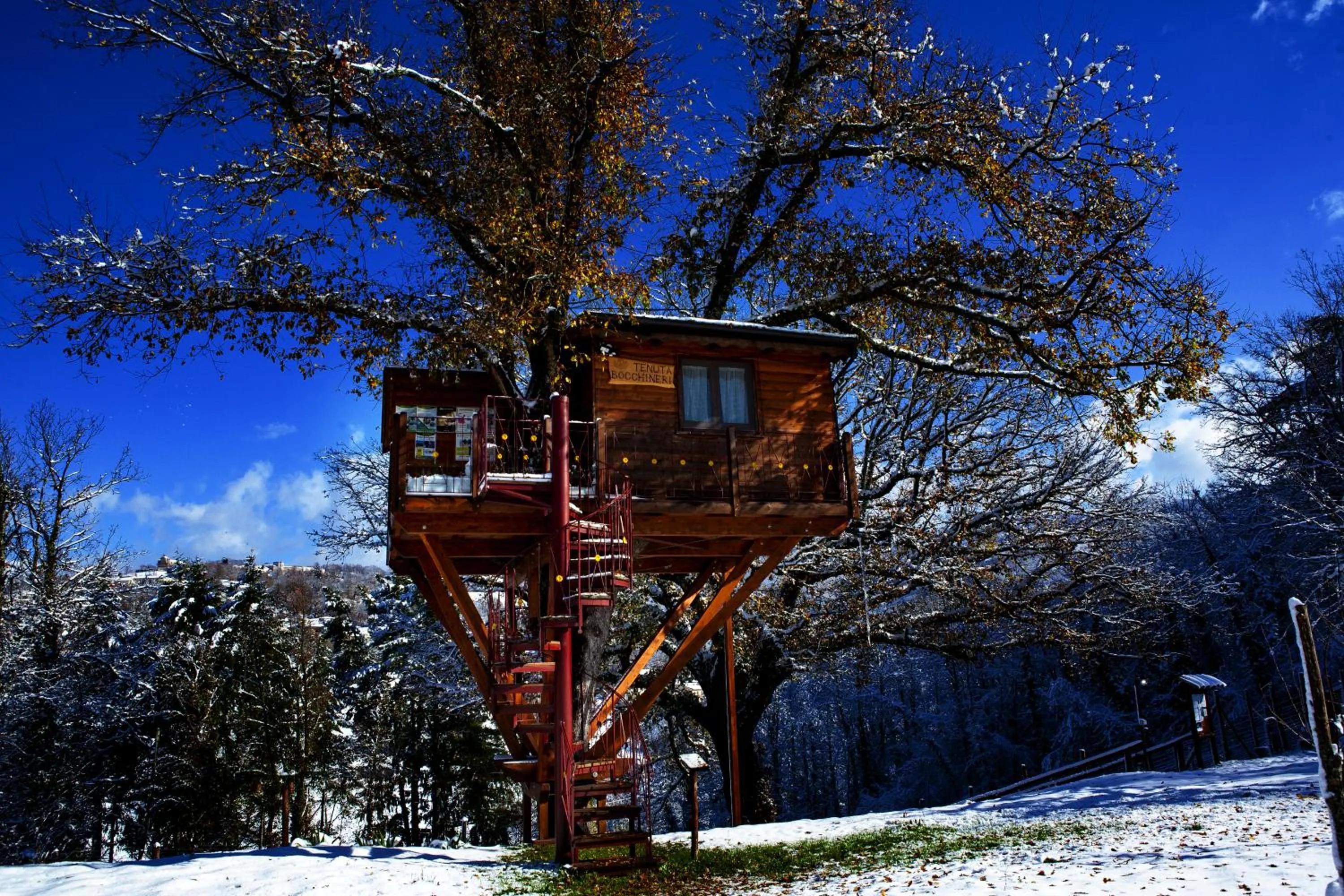 Casa sull'albero Bocchineri