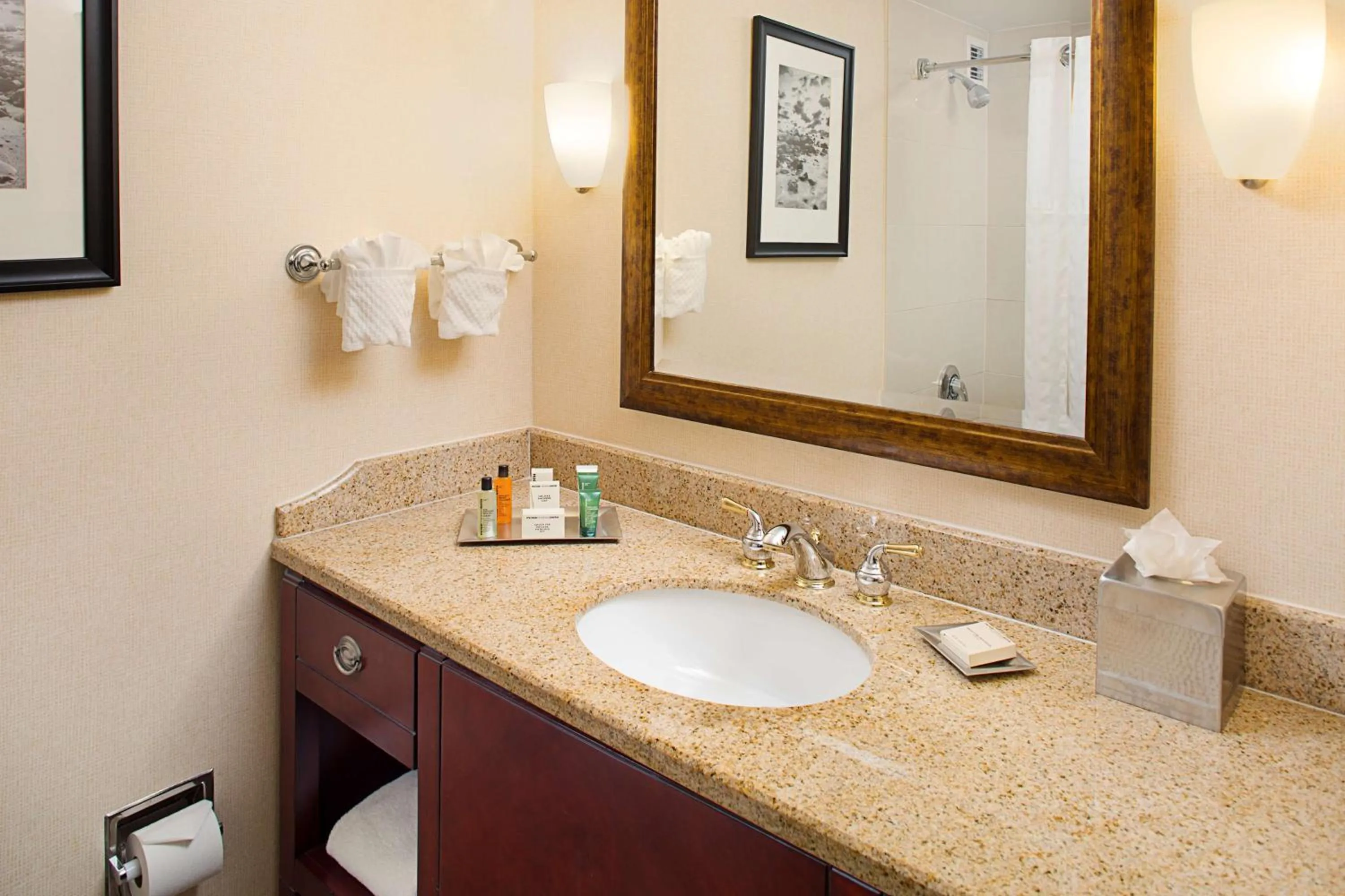 Bathroom in Hilton Providence