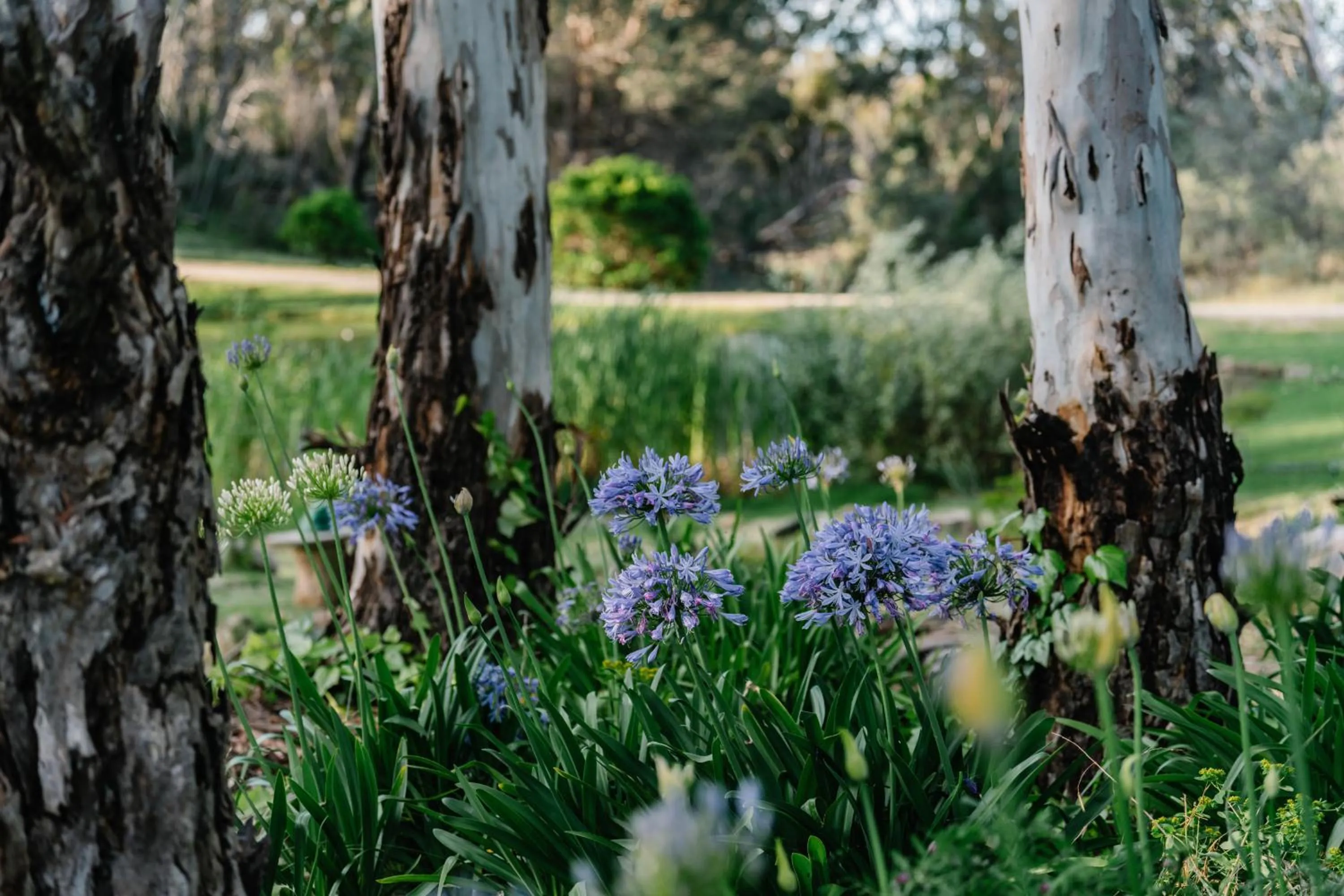 Granite Gardens Cottages & Lake Retreat