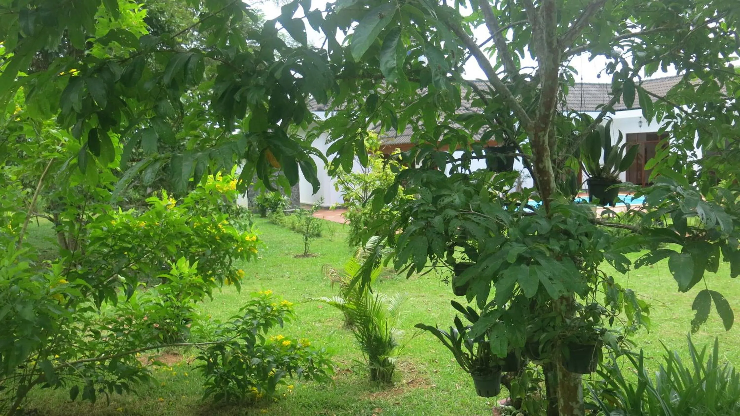 Garden in Phu Quoc Private Villa