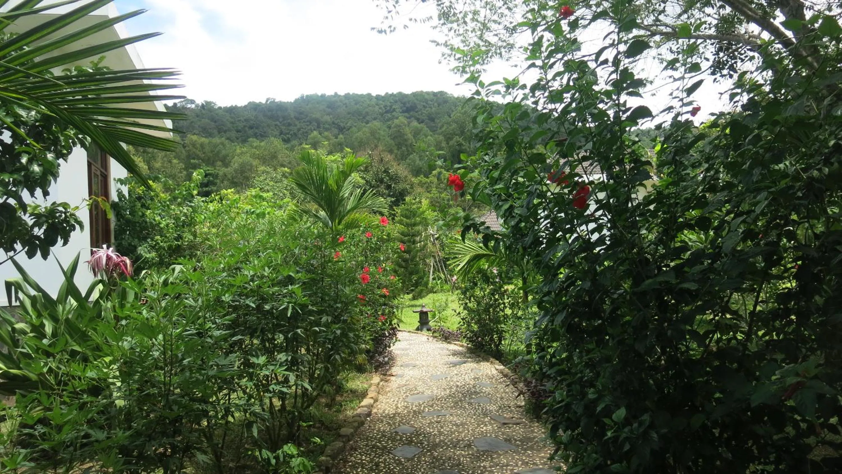 Garden in Phu Quoc Private Villa