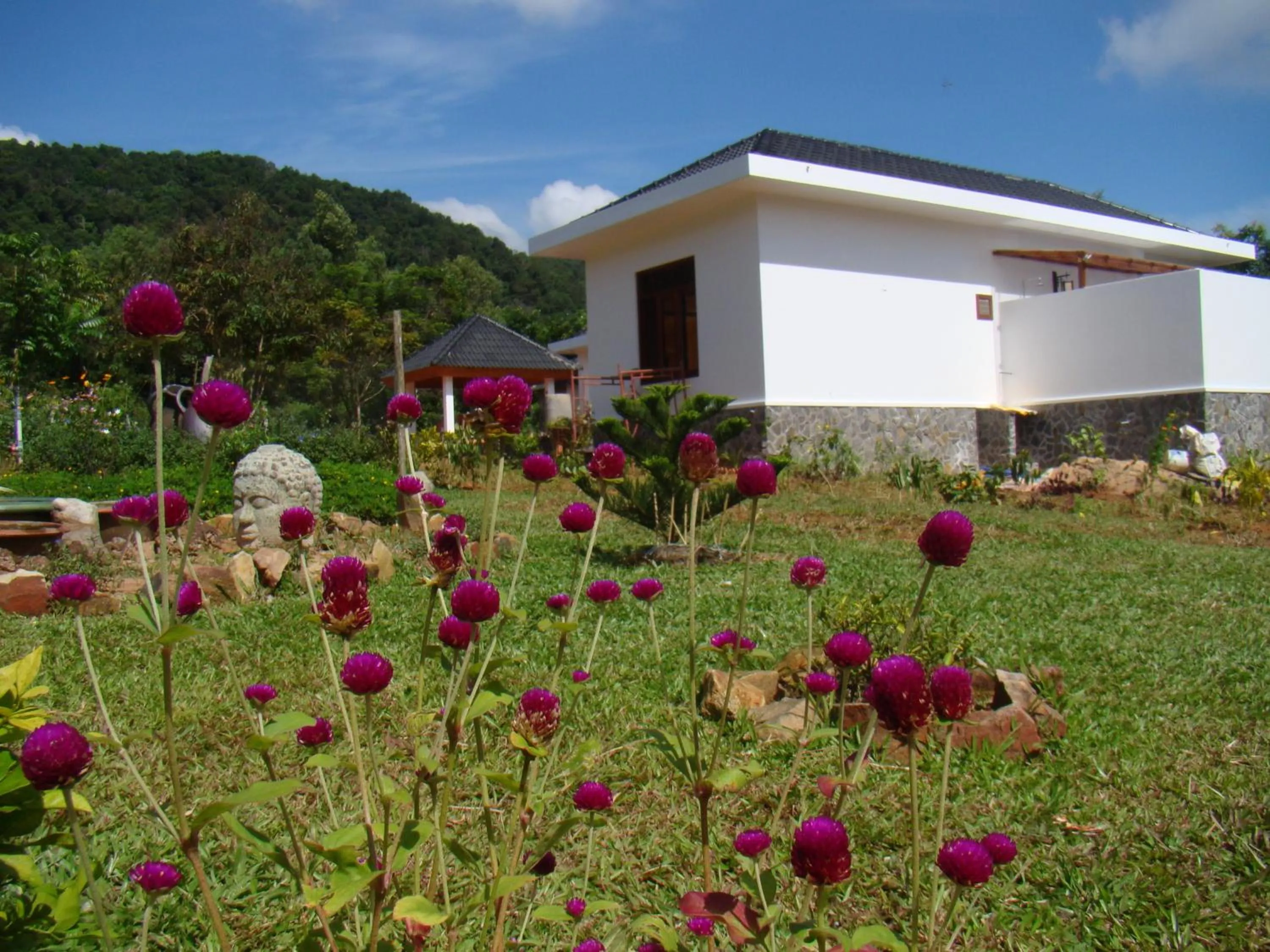 Garden in Phu Quoc Private Villa