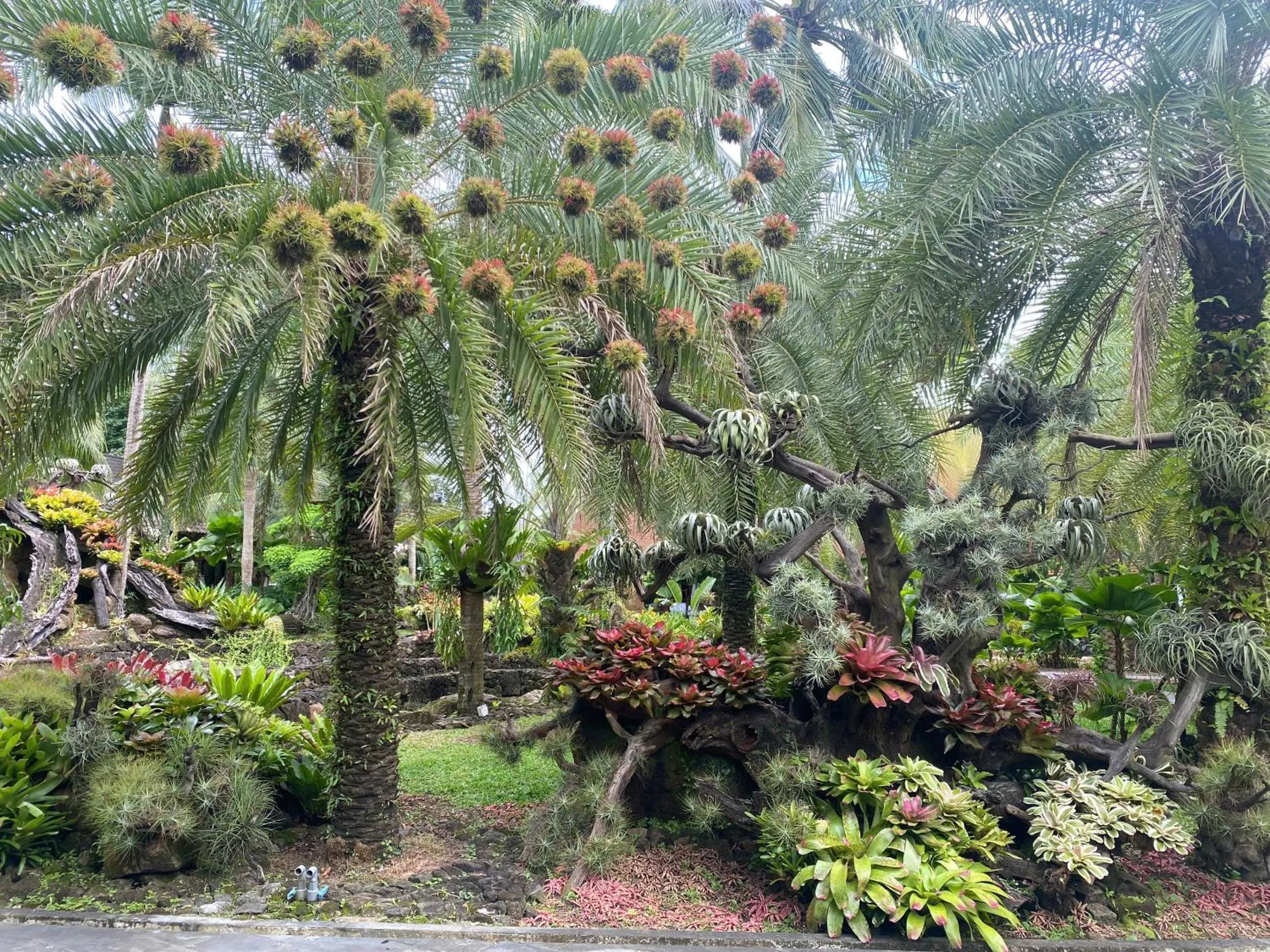 Coco Palm Beach Resort