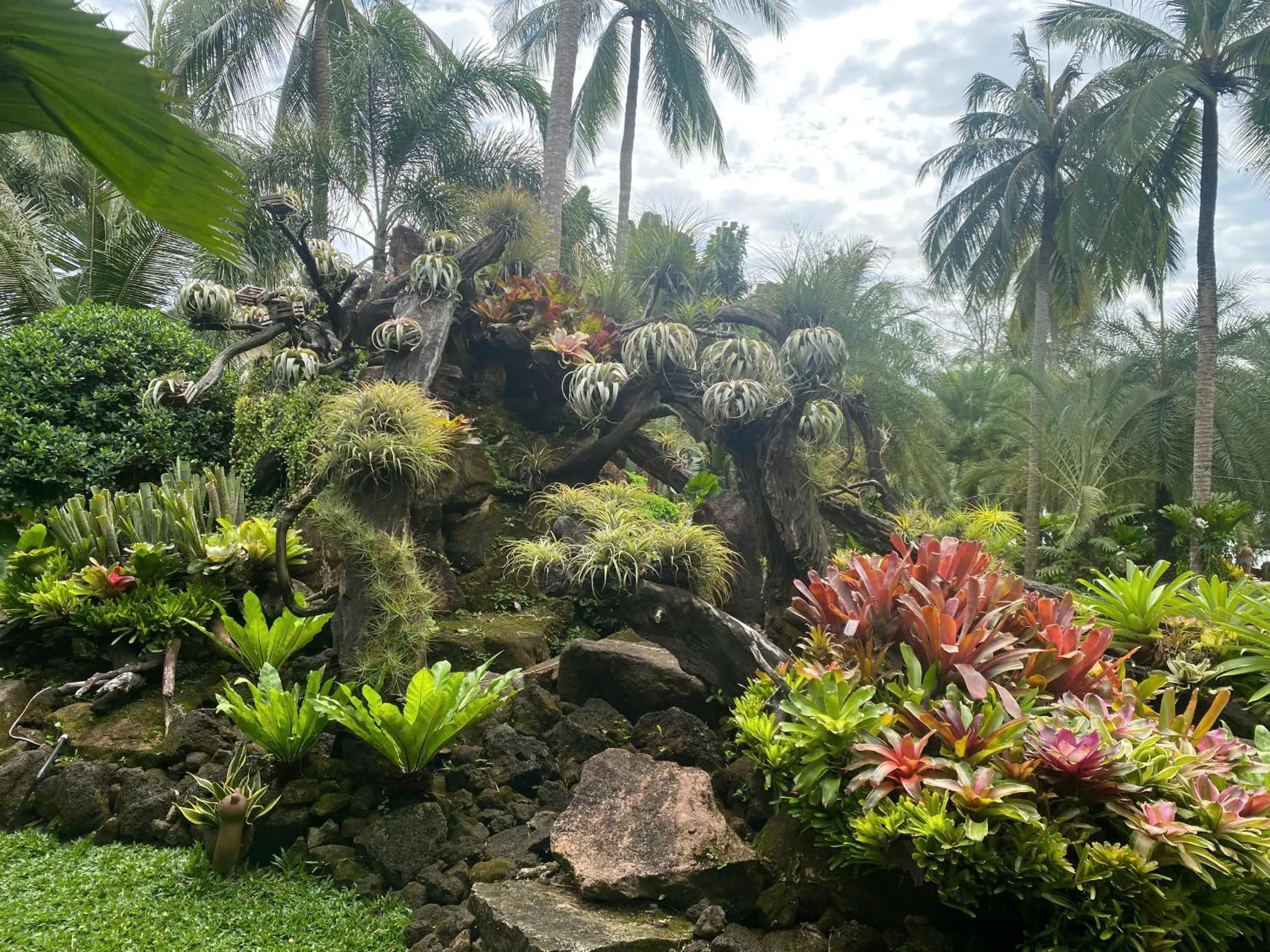 Coco Palm Beach Resort