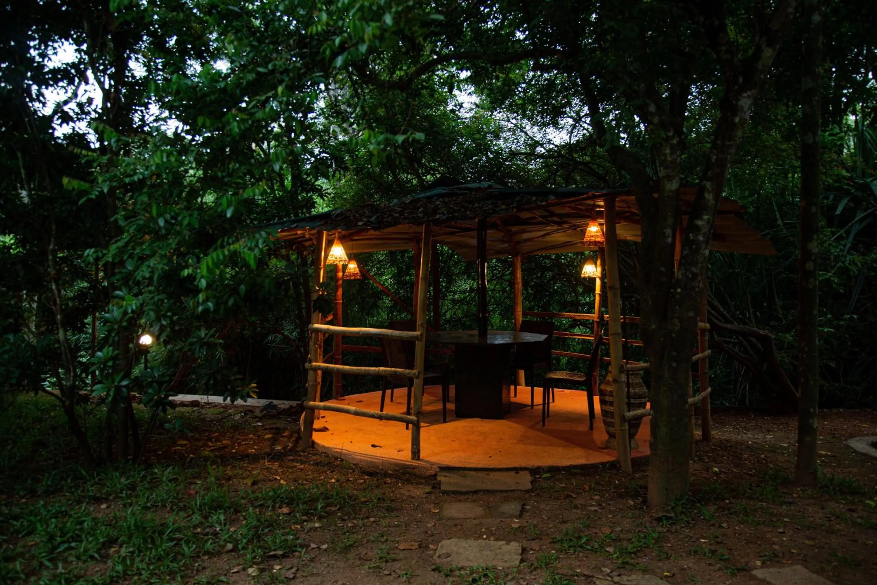 Area and facilities in Orchid Trails Resort