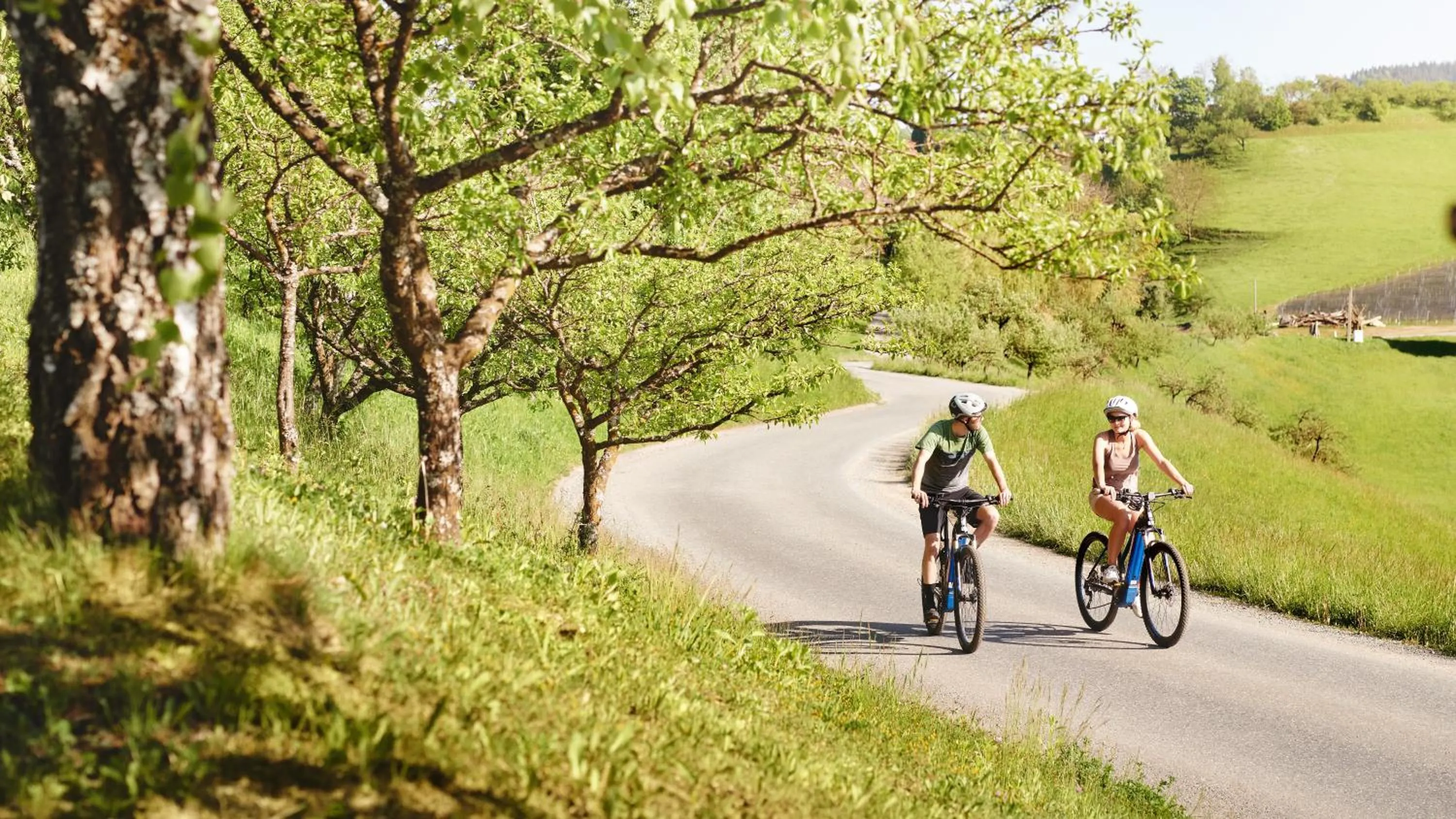 Activities in Landgut am Pößnitzberg