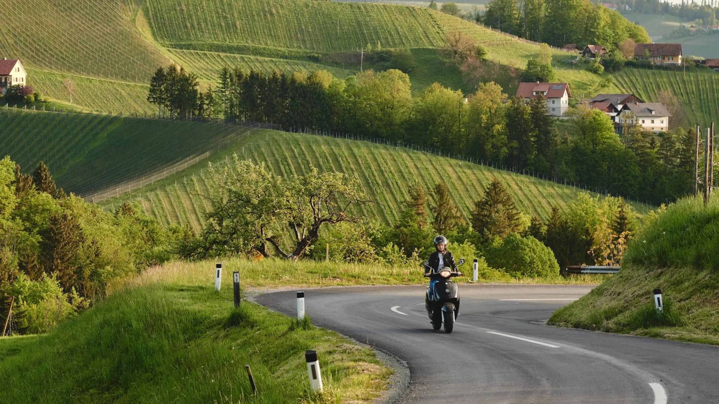 Natural landscape in Landgut am Pößnitzberg