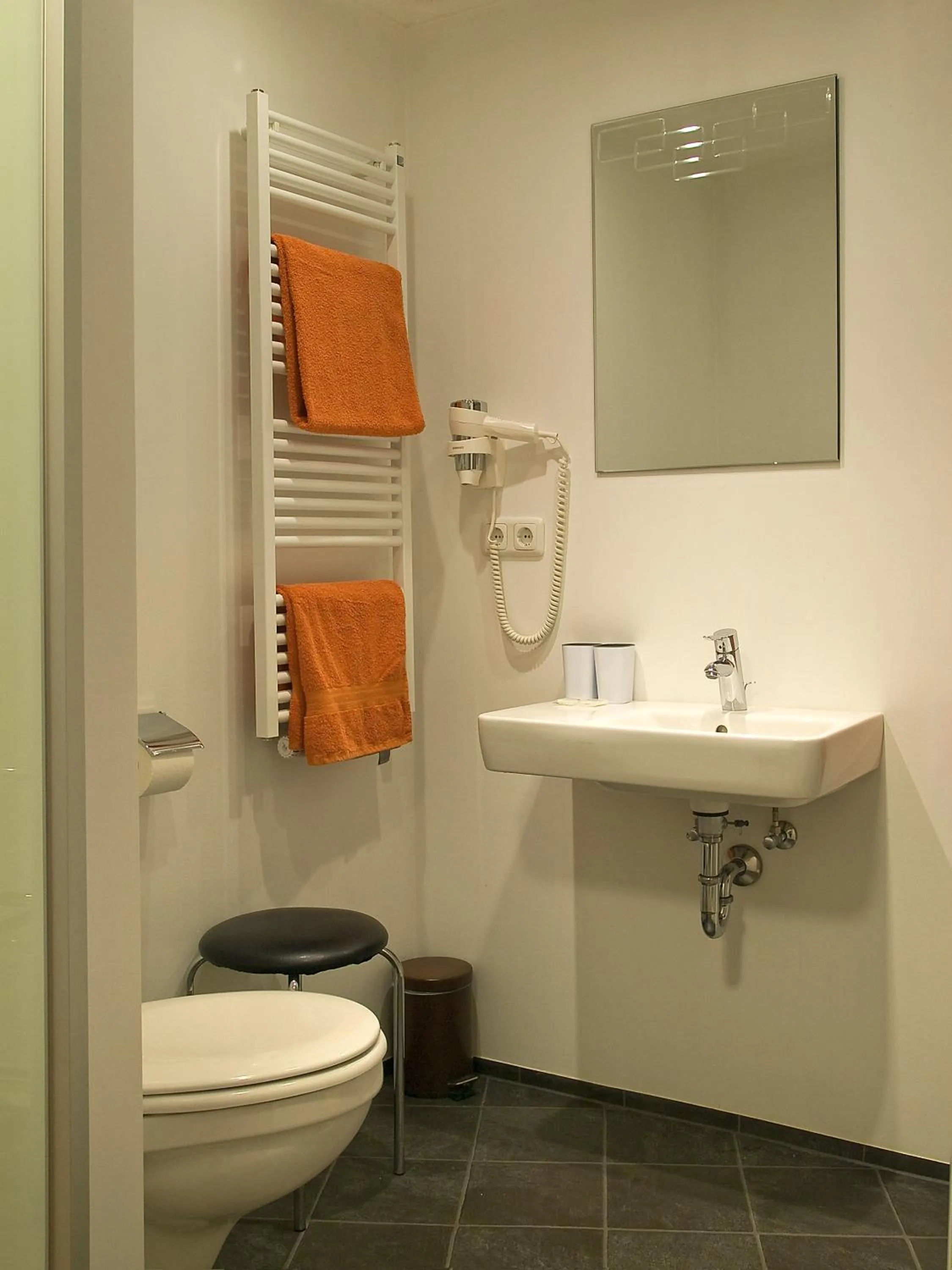 Toilet in Hotel Rose