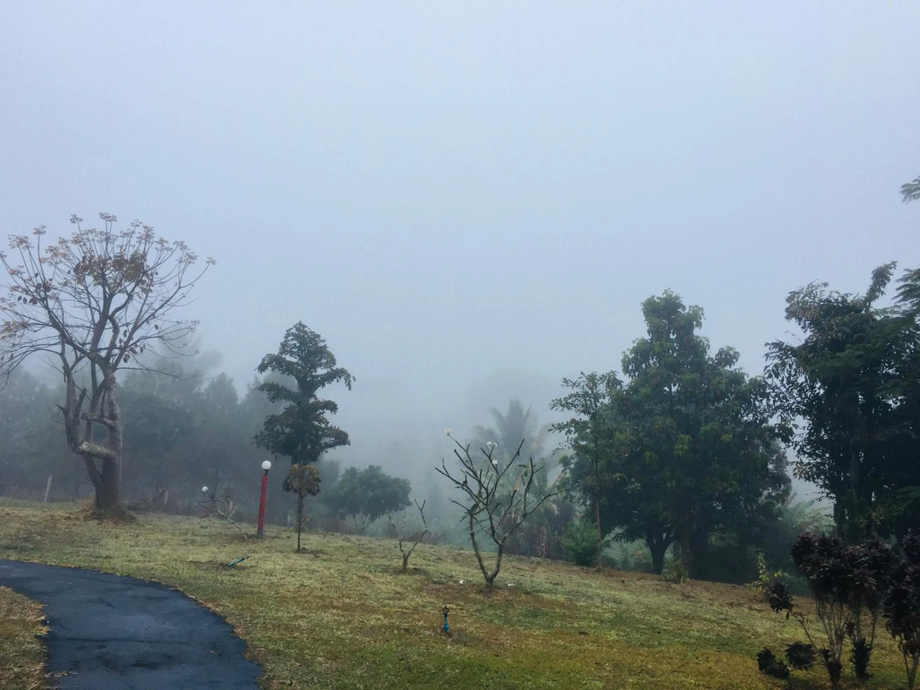 The Natural Yurt Resort @ Khao Kho