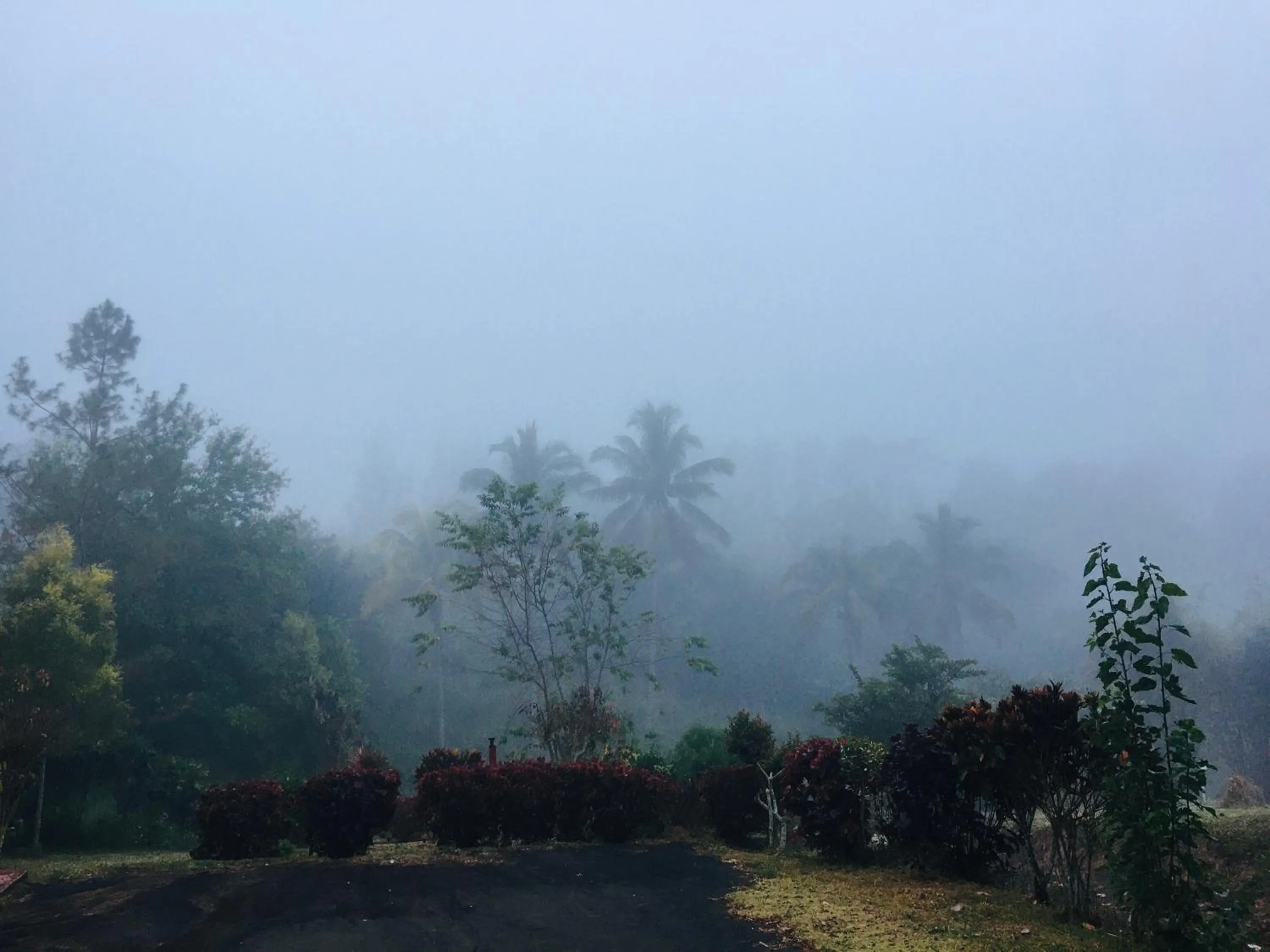 The Natural Yurt Resort @ Khao Kho