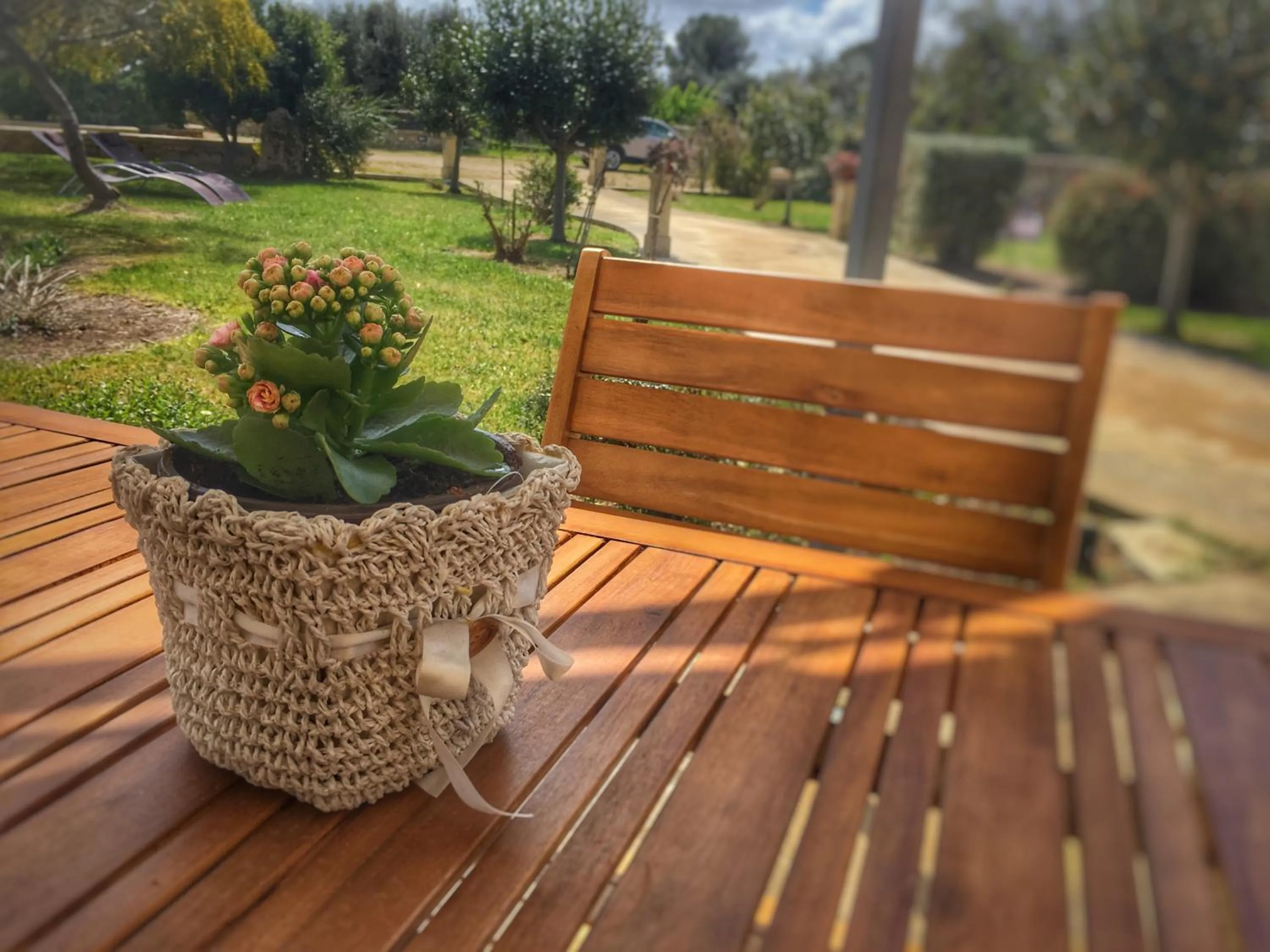 Agriturismo Alonì Costarella Masseria