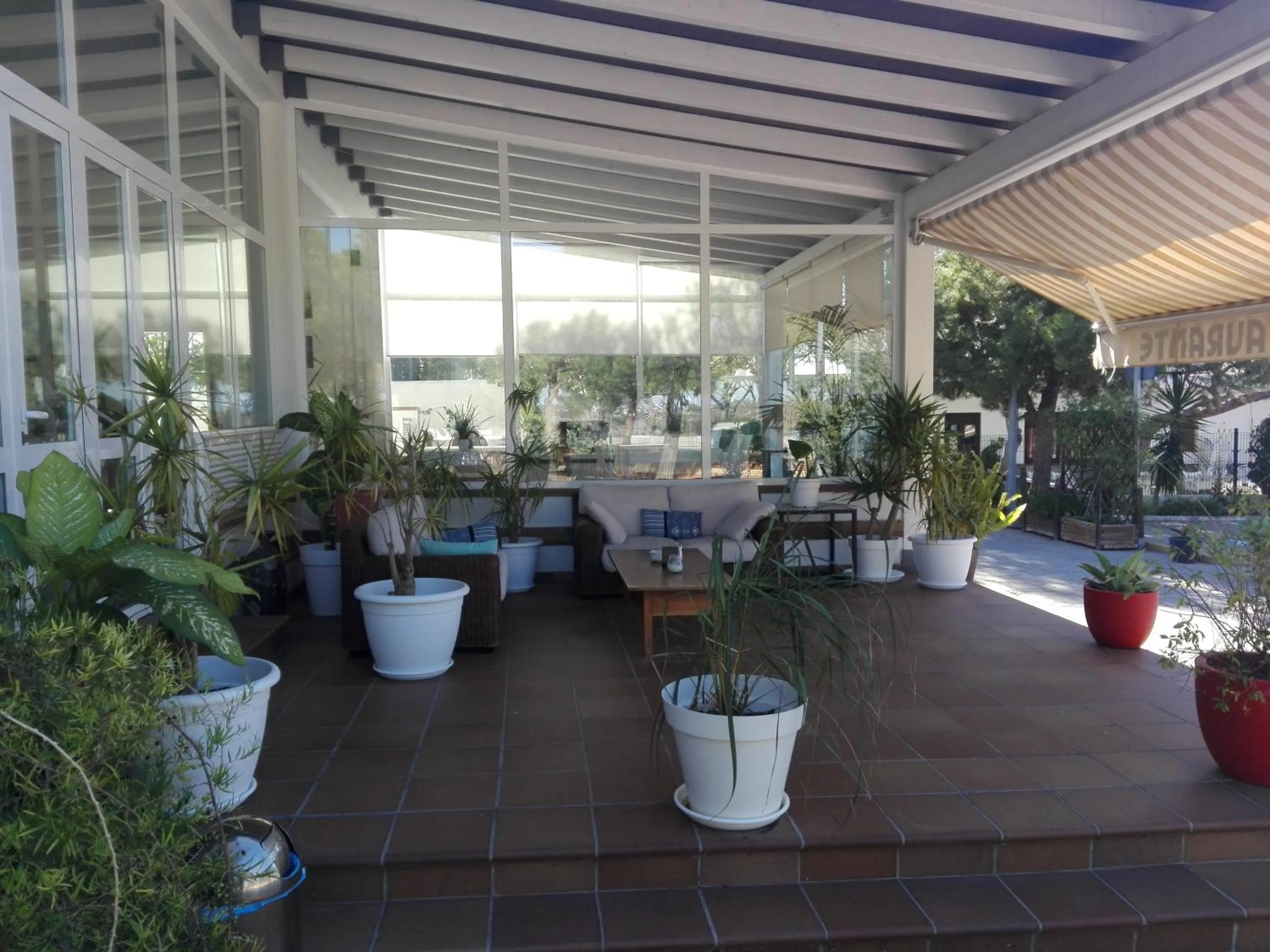 Patio in Hotel Marisma Sancti Petri