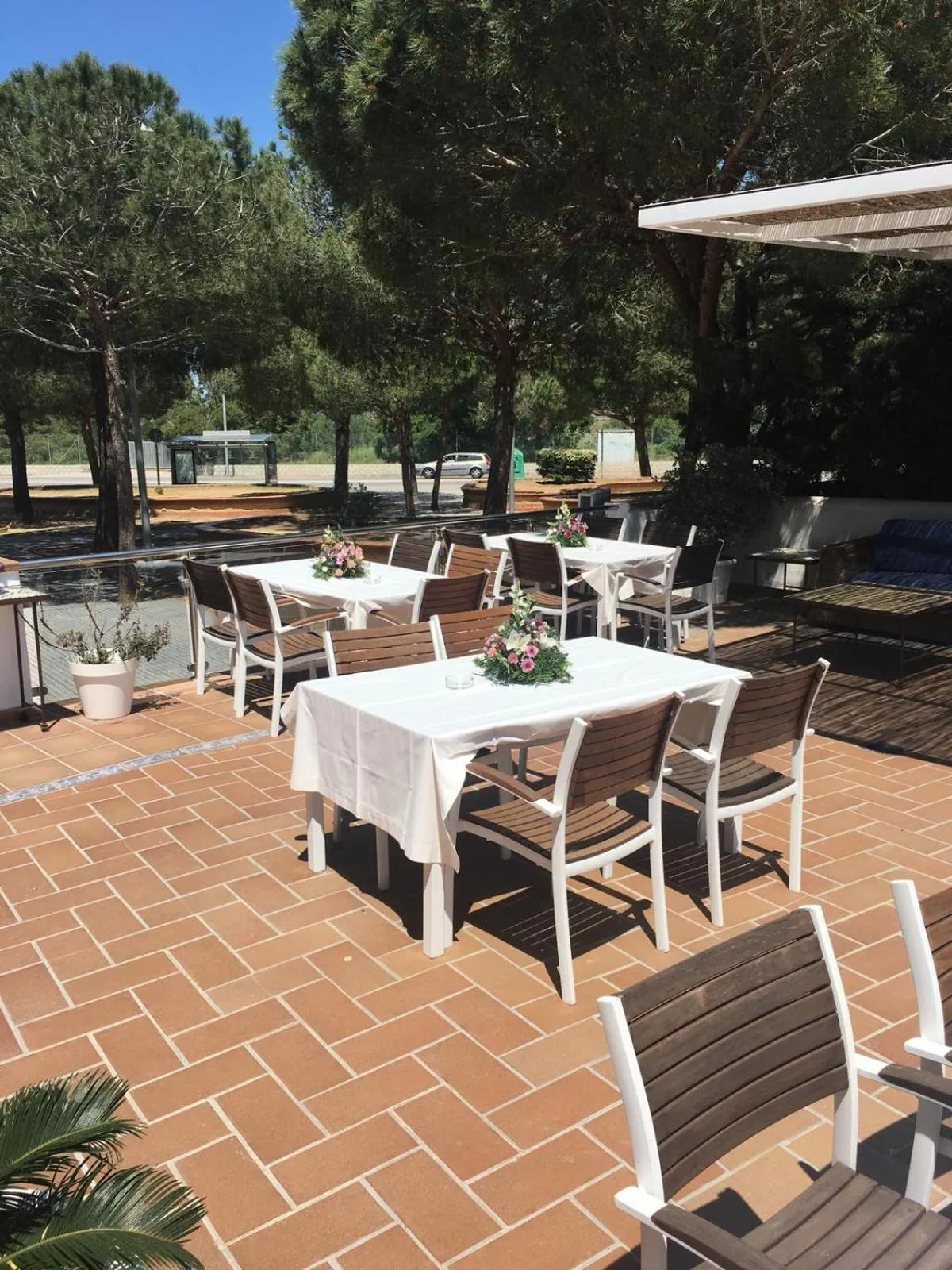 Patio in Hotel Marisma Sancti Petri