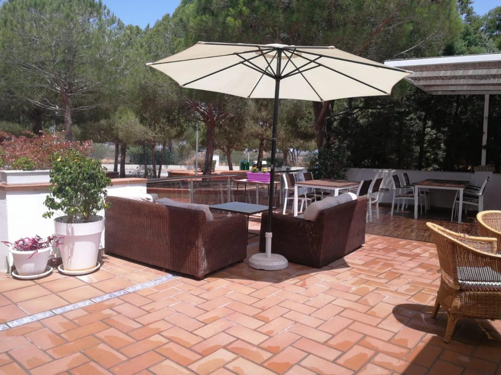 Patio in Hotel Marisma Sancti Petri