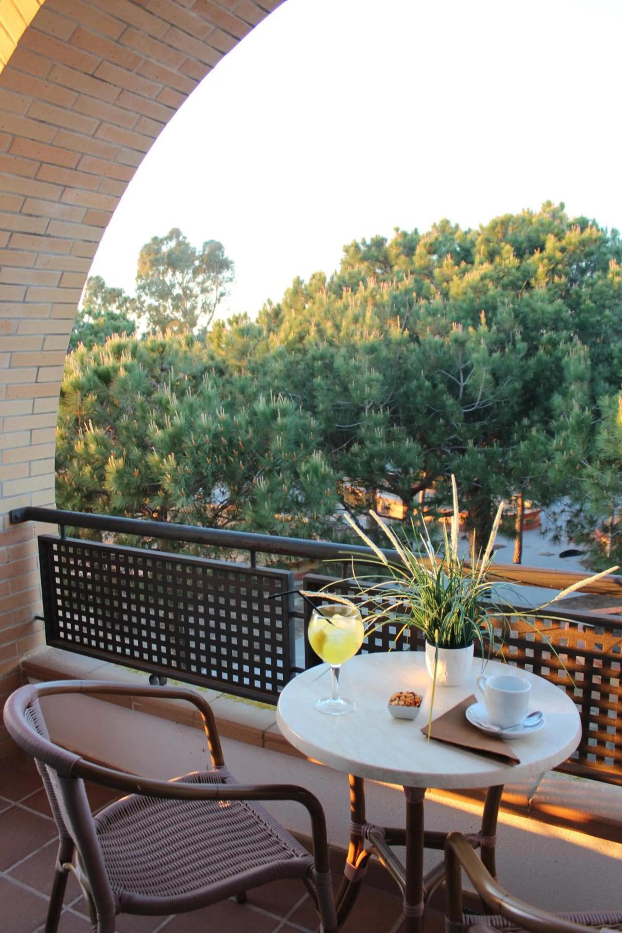 Garden view in Hotel Marisma Sancti Petri