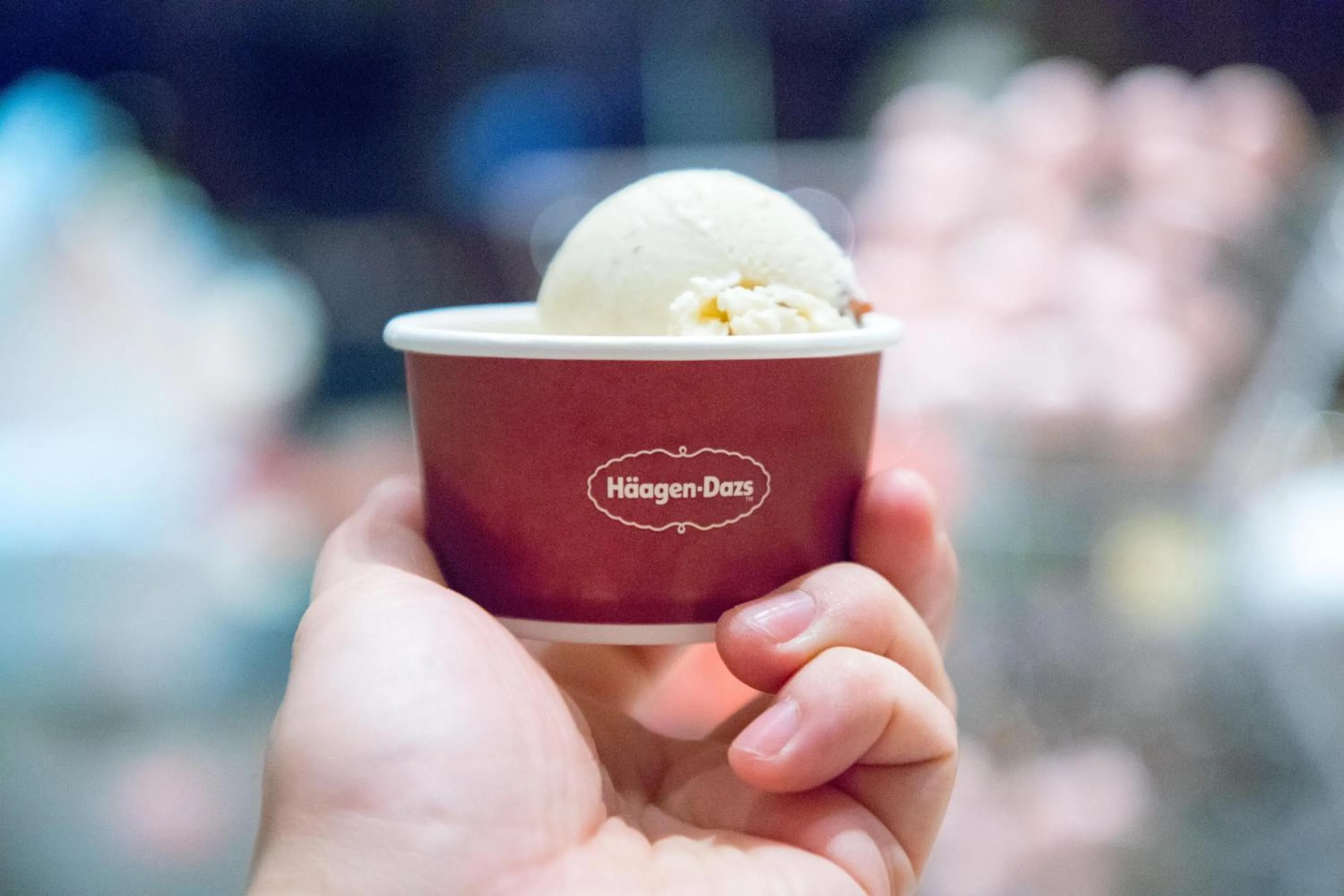 Food and drinks in Wyndham Grand Plaza Royale Yuzhou Xiamen Wuyuan Bay