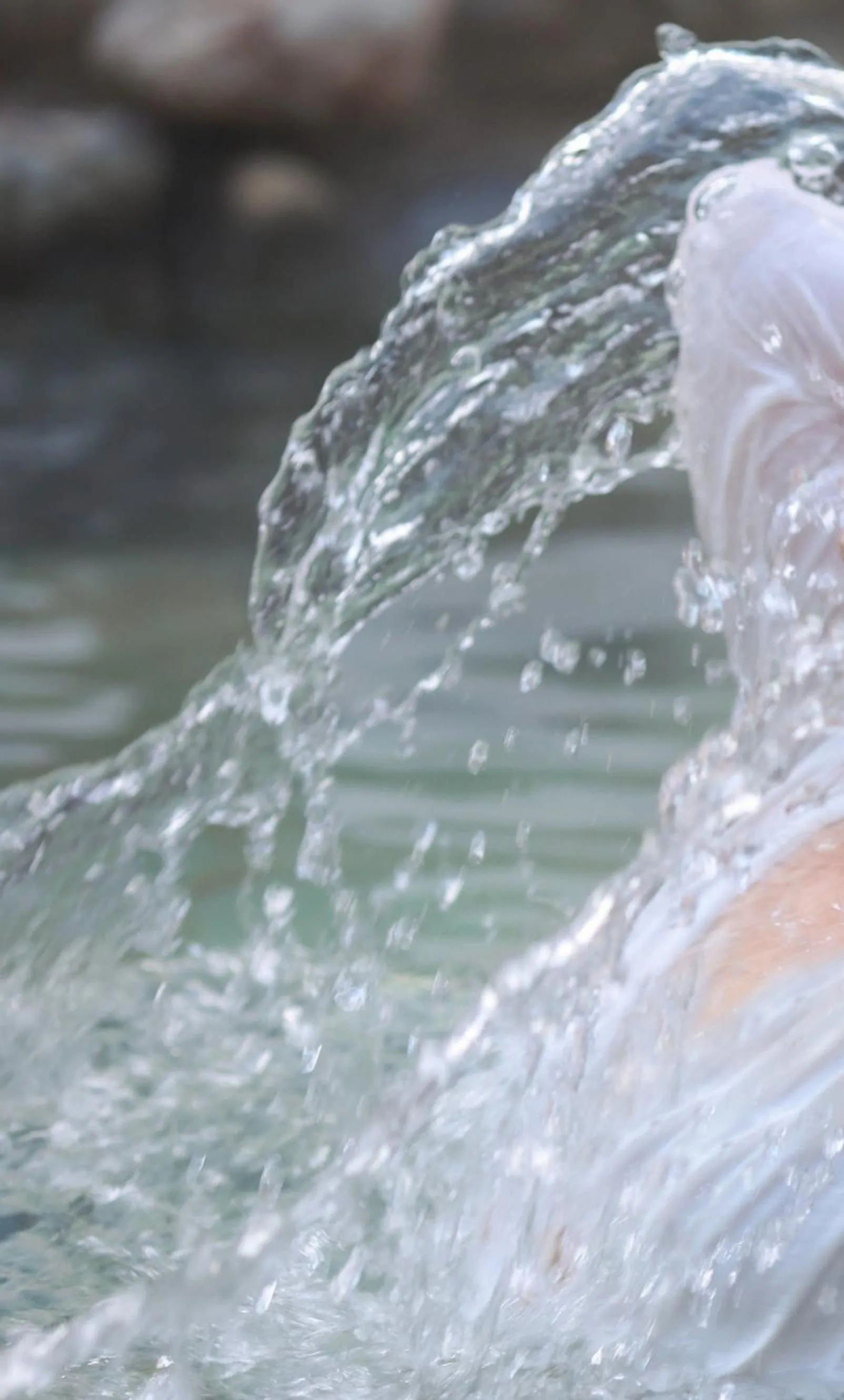 Activities in AHN LAN Ninghai