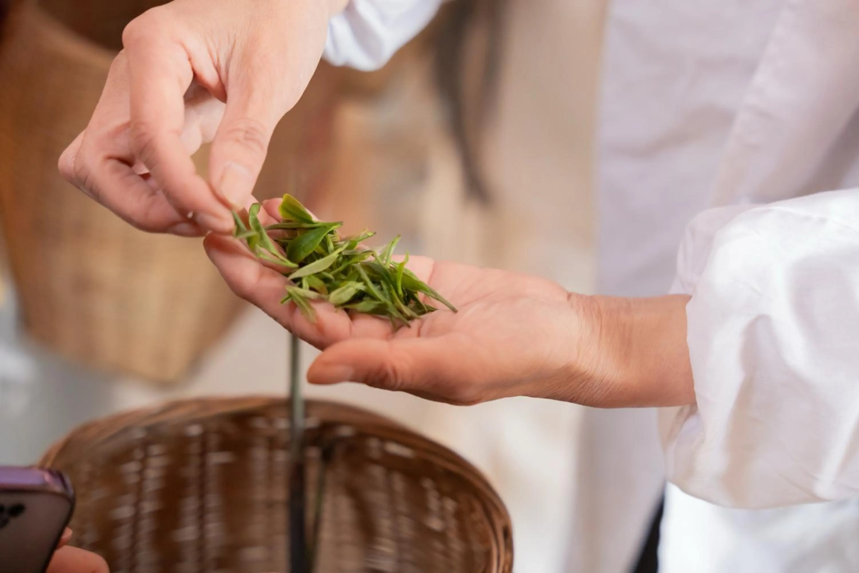 Other in AHN LAN Ninghai