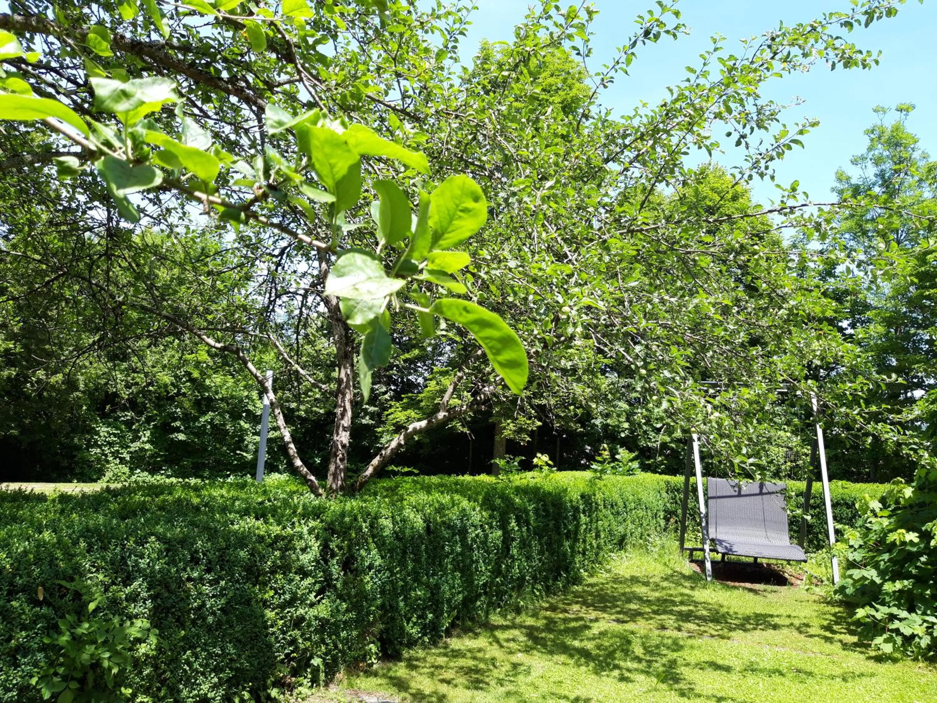 Garden in Hotel Raphael im Allgäu