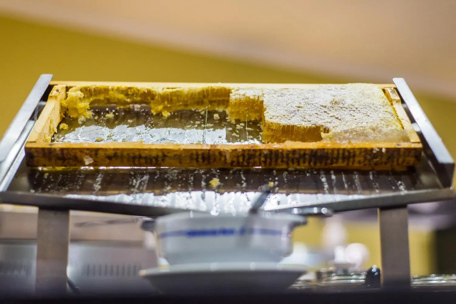 Continental breakfast in Udalla Park - Hotel & Apartamentos