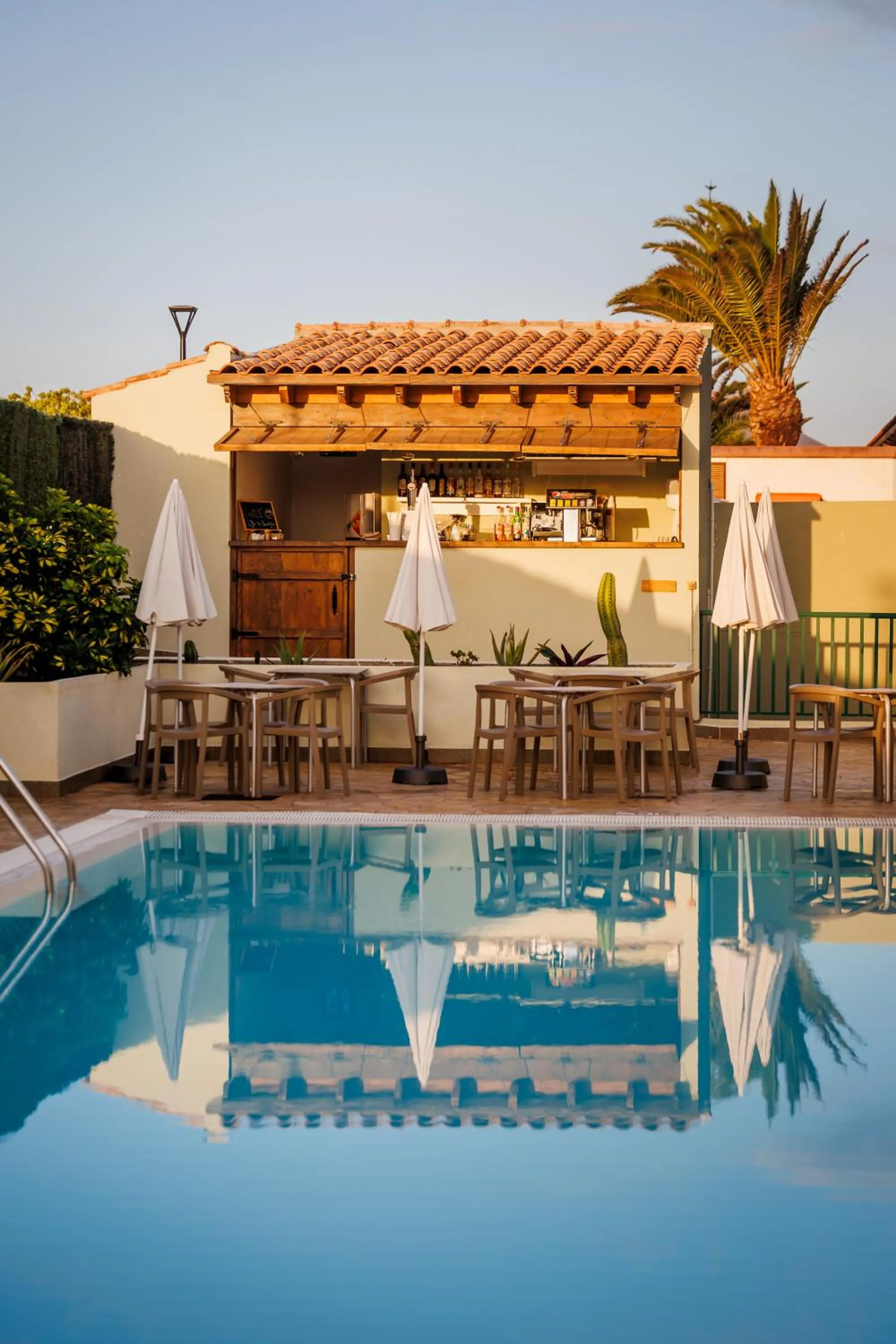 Swimming pool in BLUESEA Aloe Corralejo