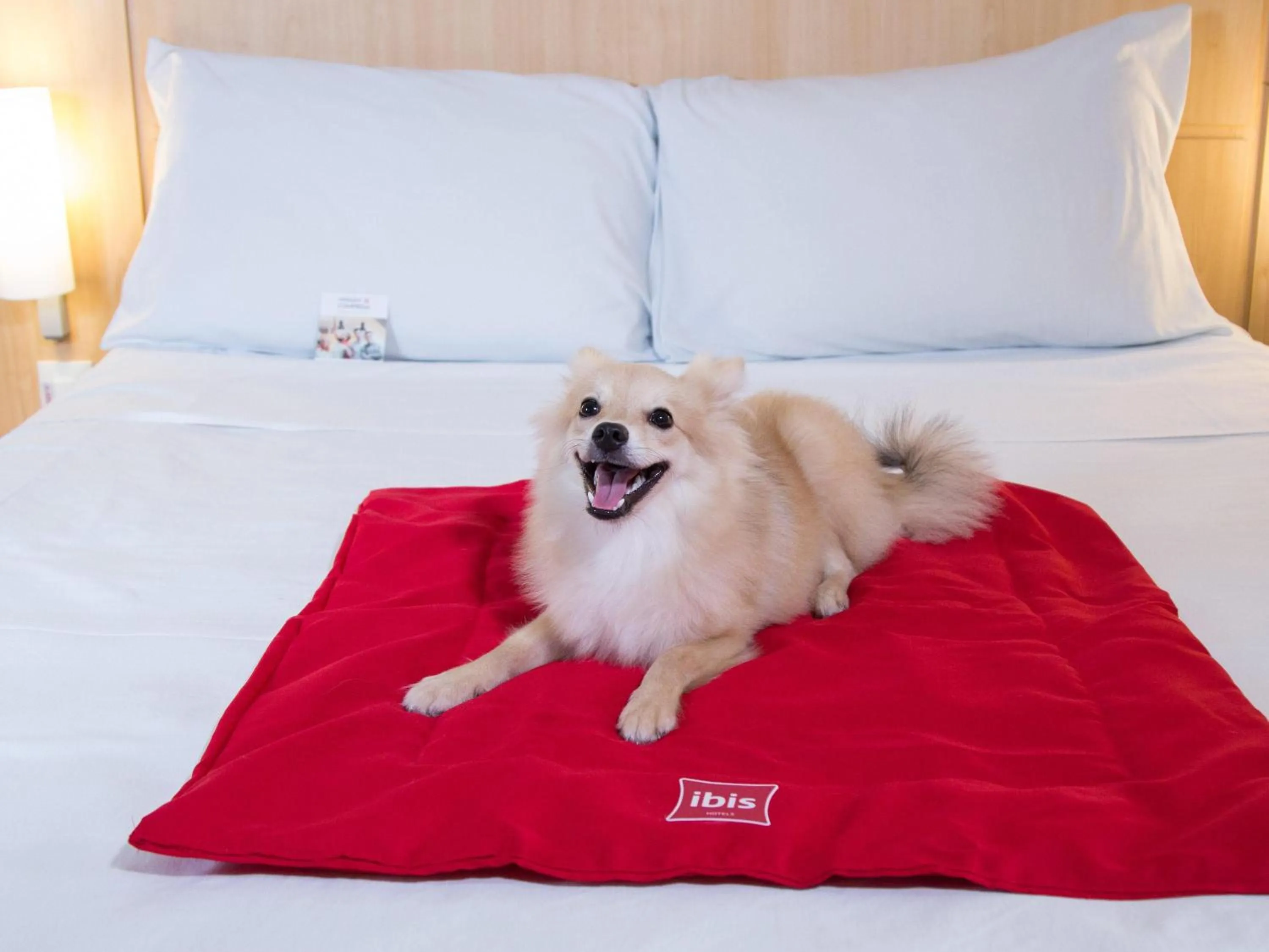 Other, Bed in ibis Maceio Pajuçara