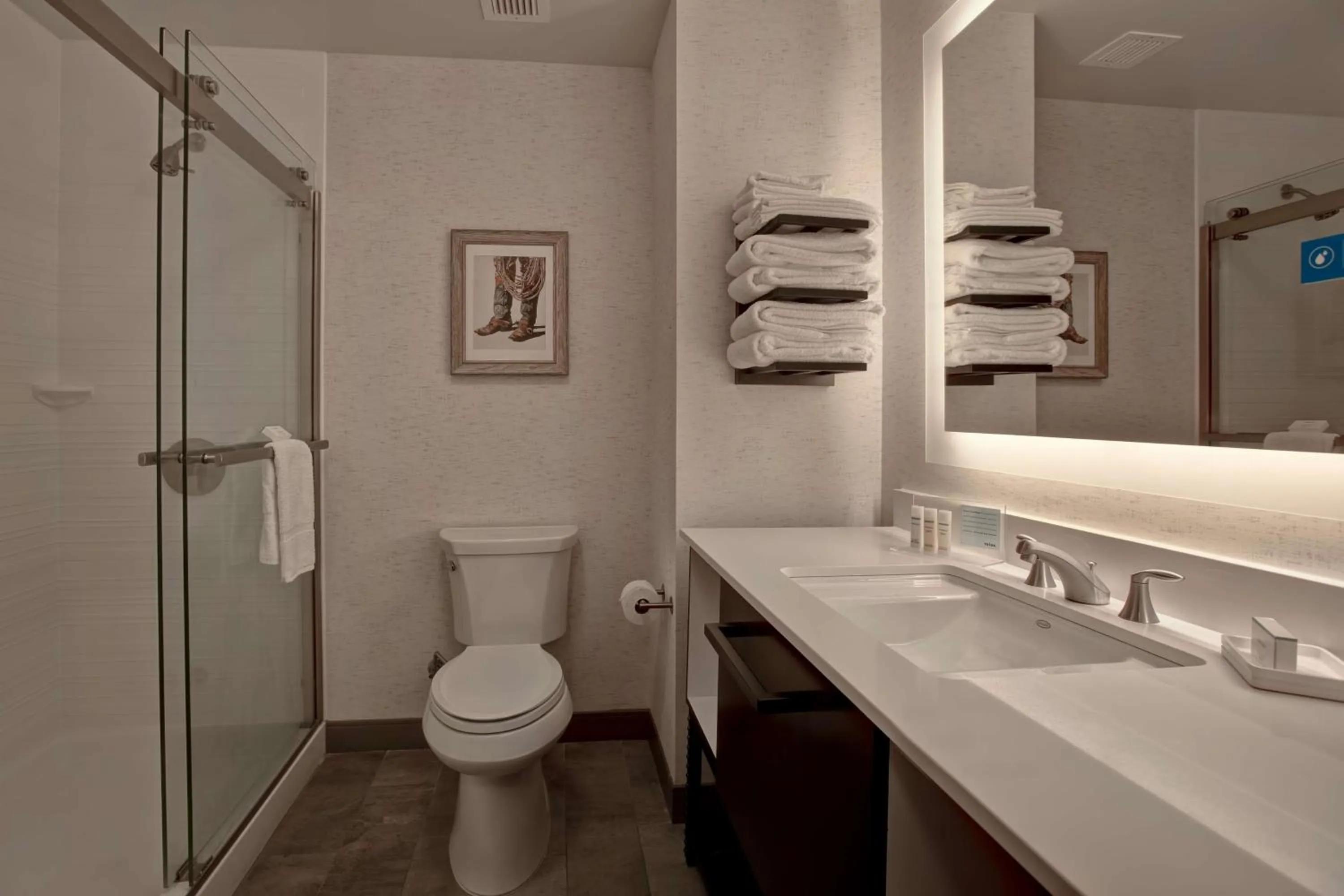 Bathroom in Hampton Inn & Suites on the San Antonio Riverwalk