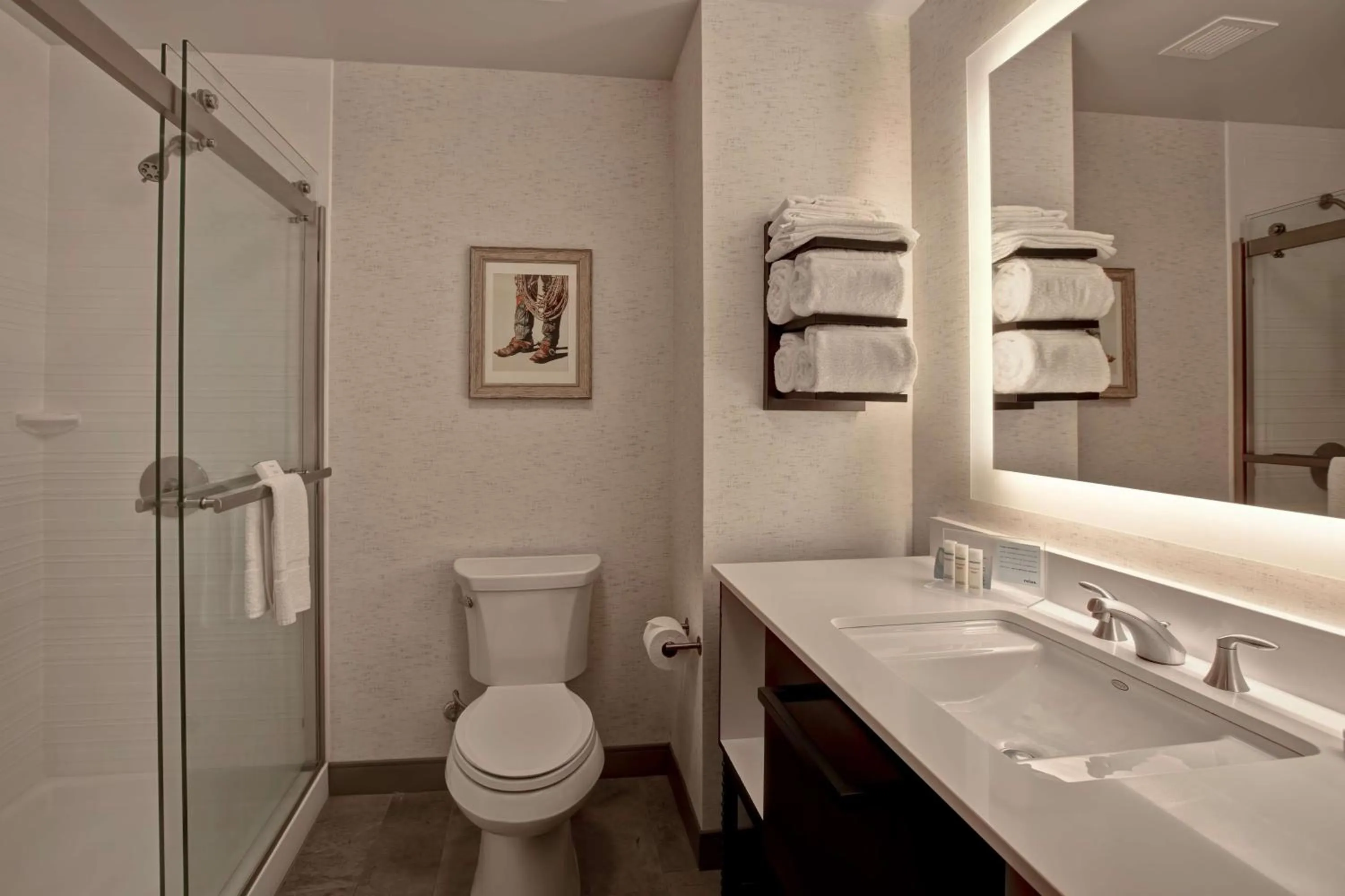 Bathroom in Hampton Inn & Suites on the San Antonio Riverwalk