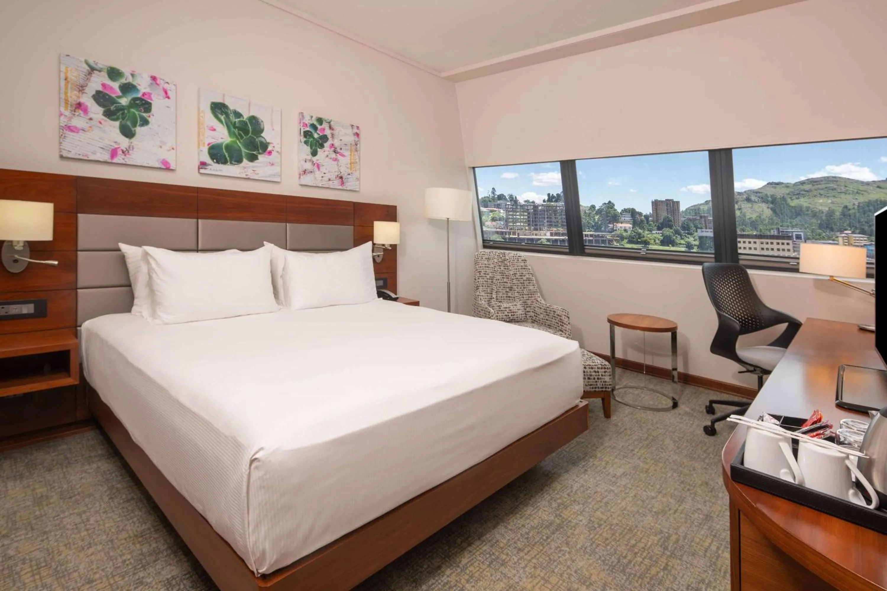 View (from property/room), Bed in Hilton Garden Inn Mbabane