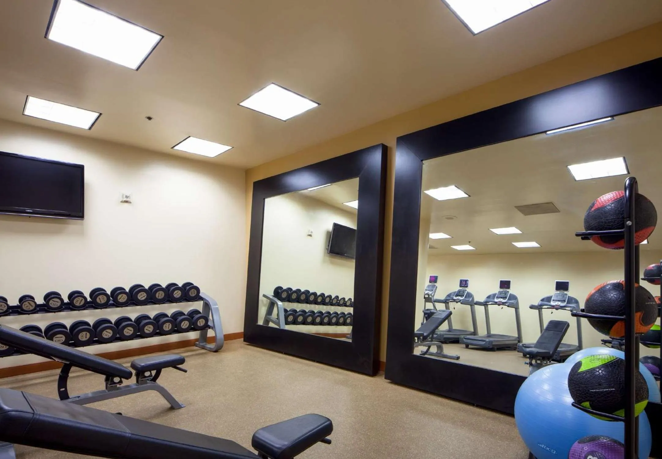 Fitness centre/facilities in Embassy Suites San Antonio Airport