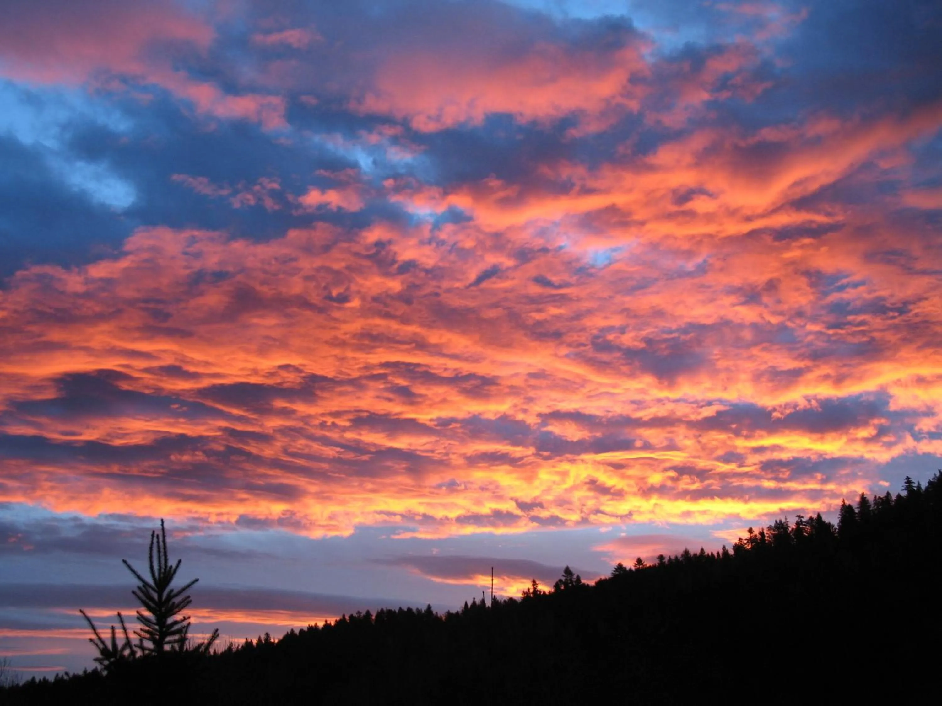Landmark view in Willa Pod Aniołem - Pokoje Gościnne & Apartamenty z widokiem na góry