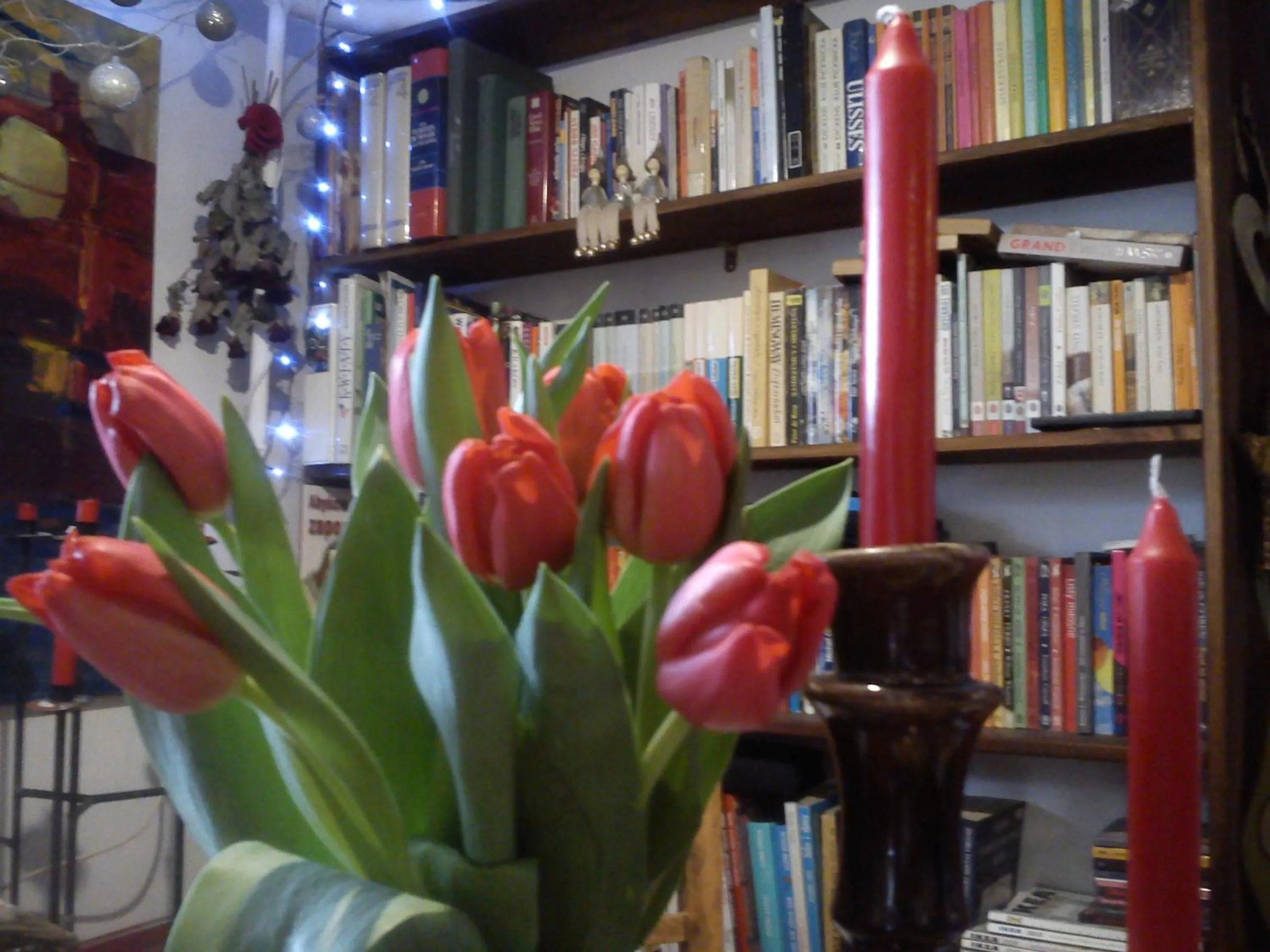 Library in Willa Pod Aniołem - Pokoje Gościnne & Apartamenty z widokiem na góry