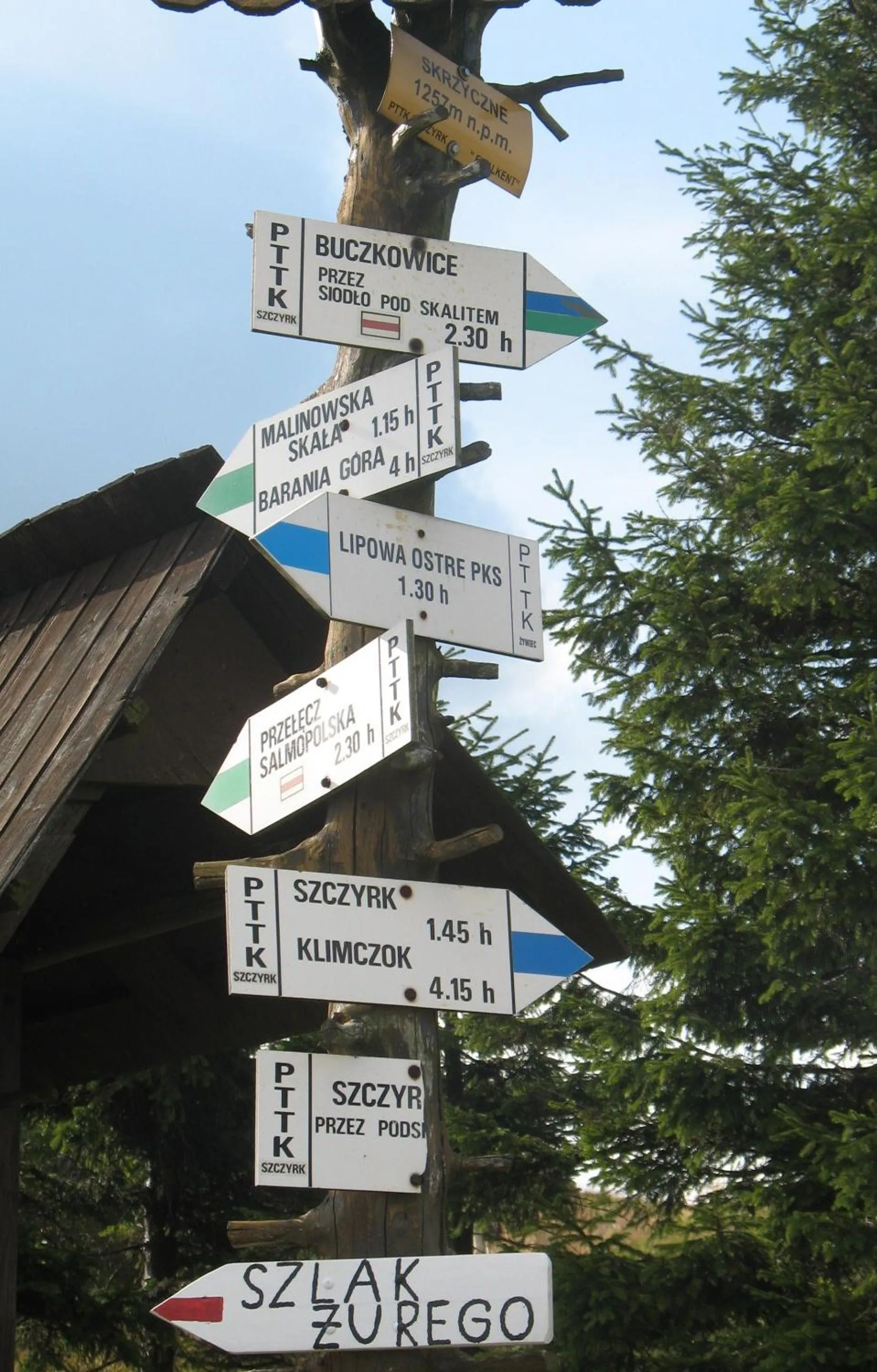 Hiking in Willa Pod Aniołem - Pokoje Gościnne & Apartamenty z widokiem na góry