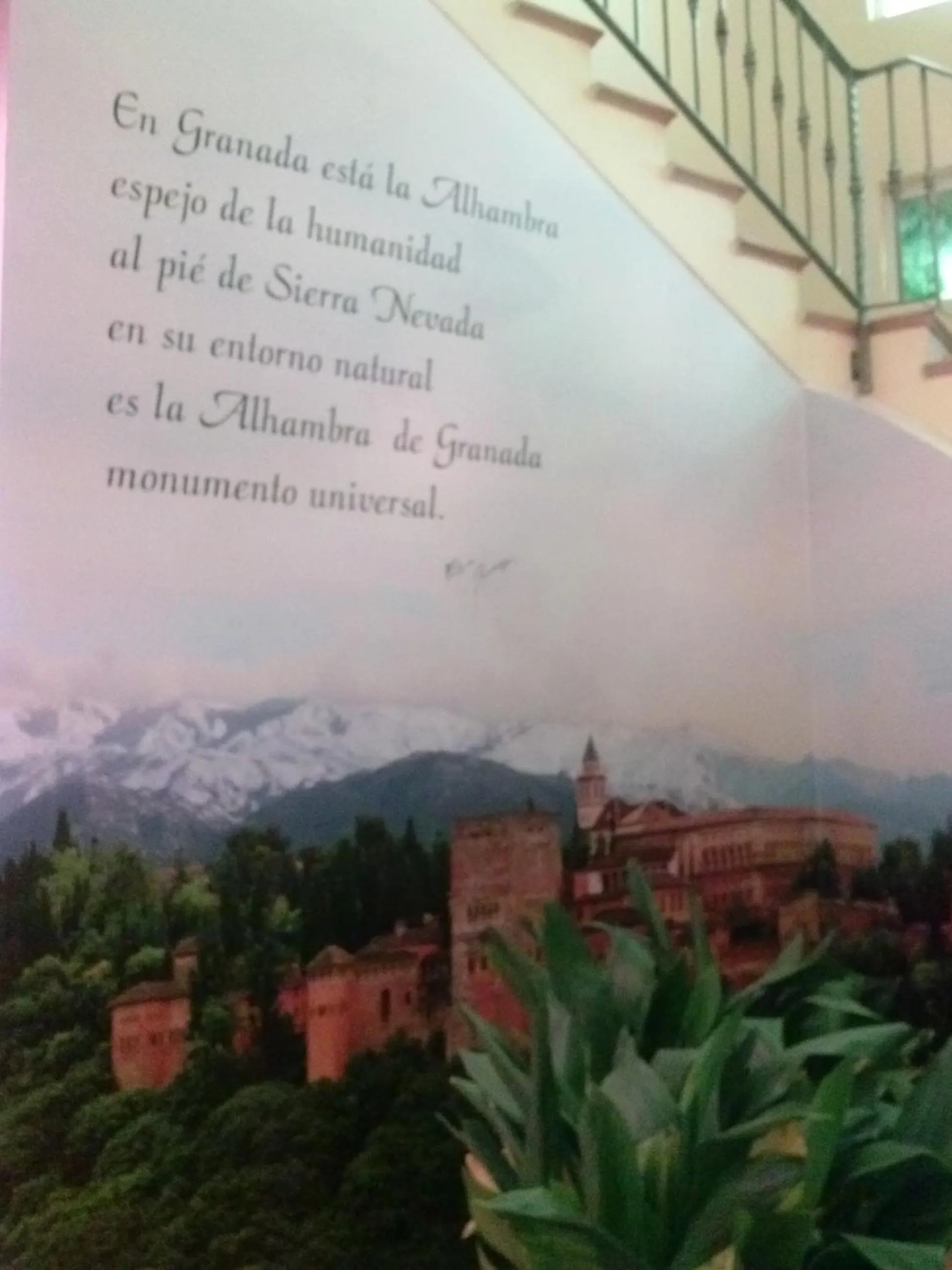 Area and facilities in Albenzaire Hotel Asador