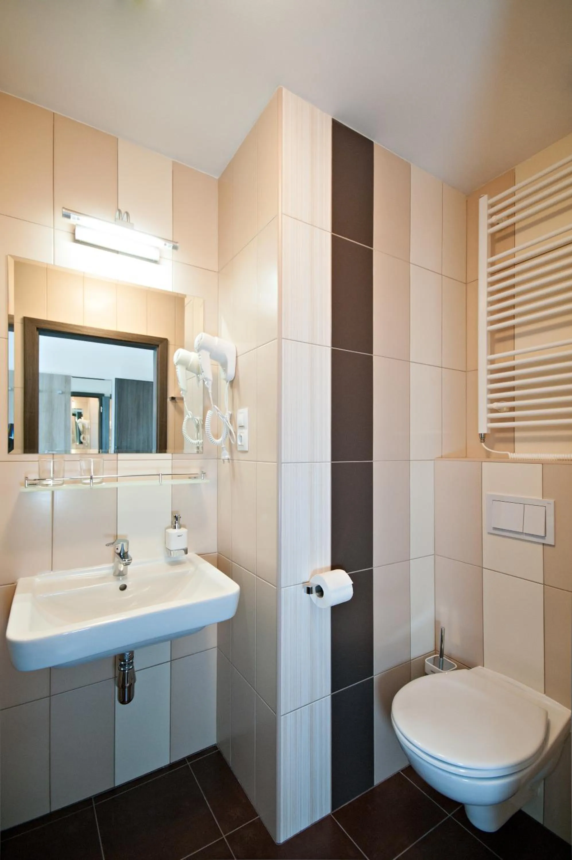 Bathroom in Hotel Arena