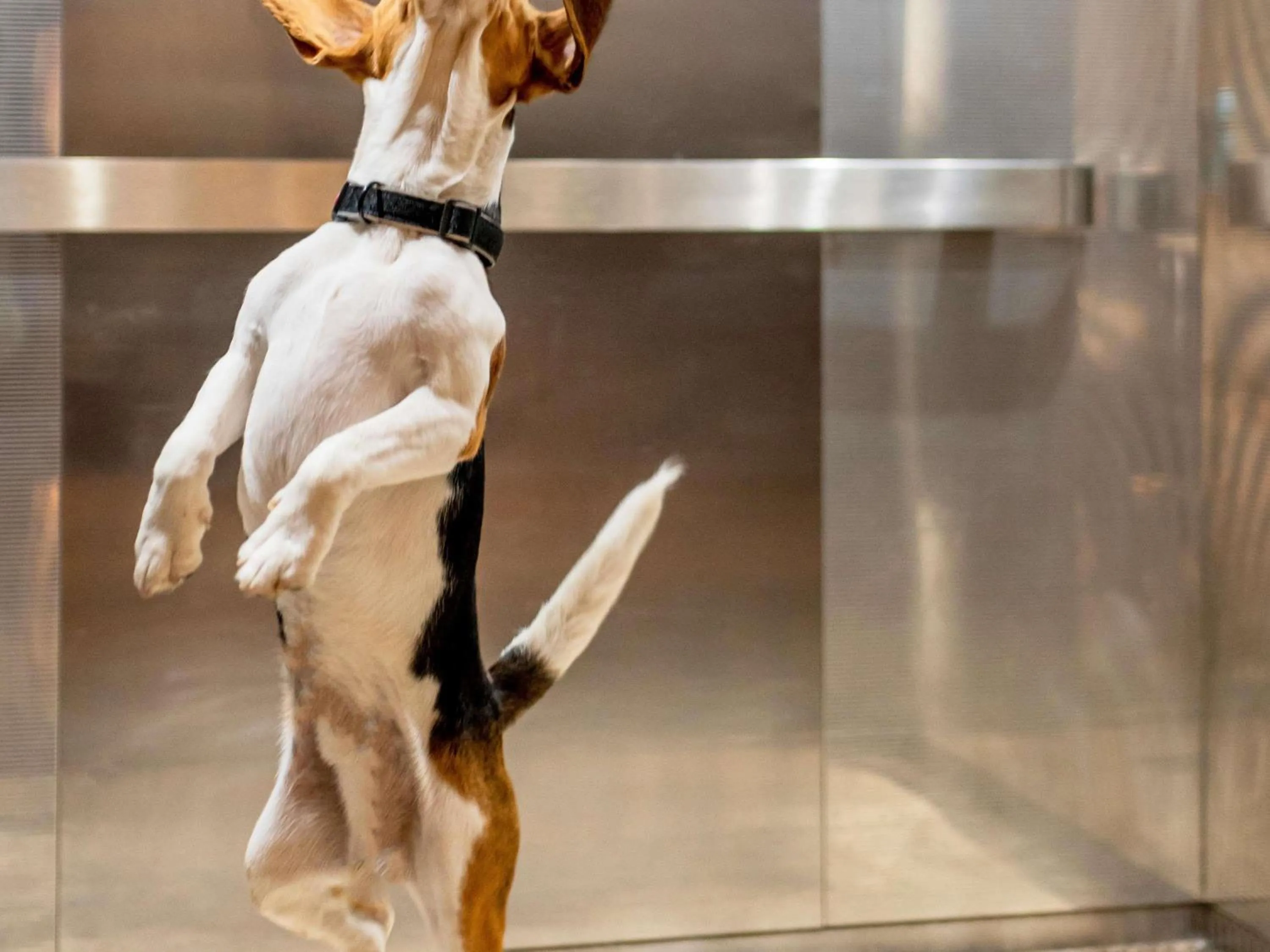 Property building in ibis Heidelberg Hauptbahnhof