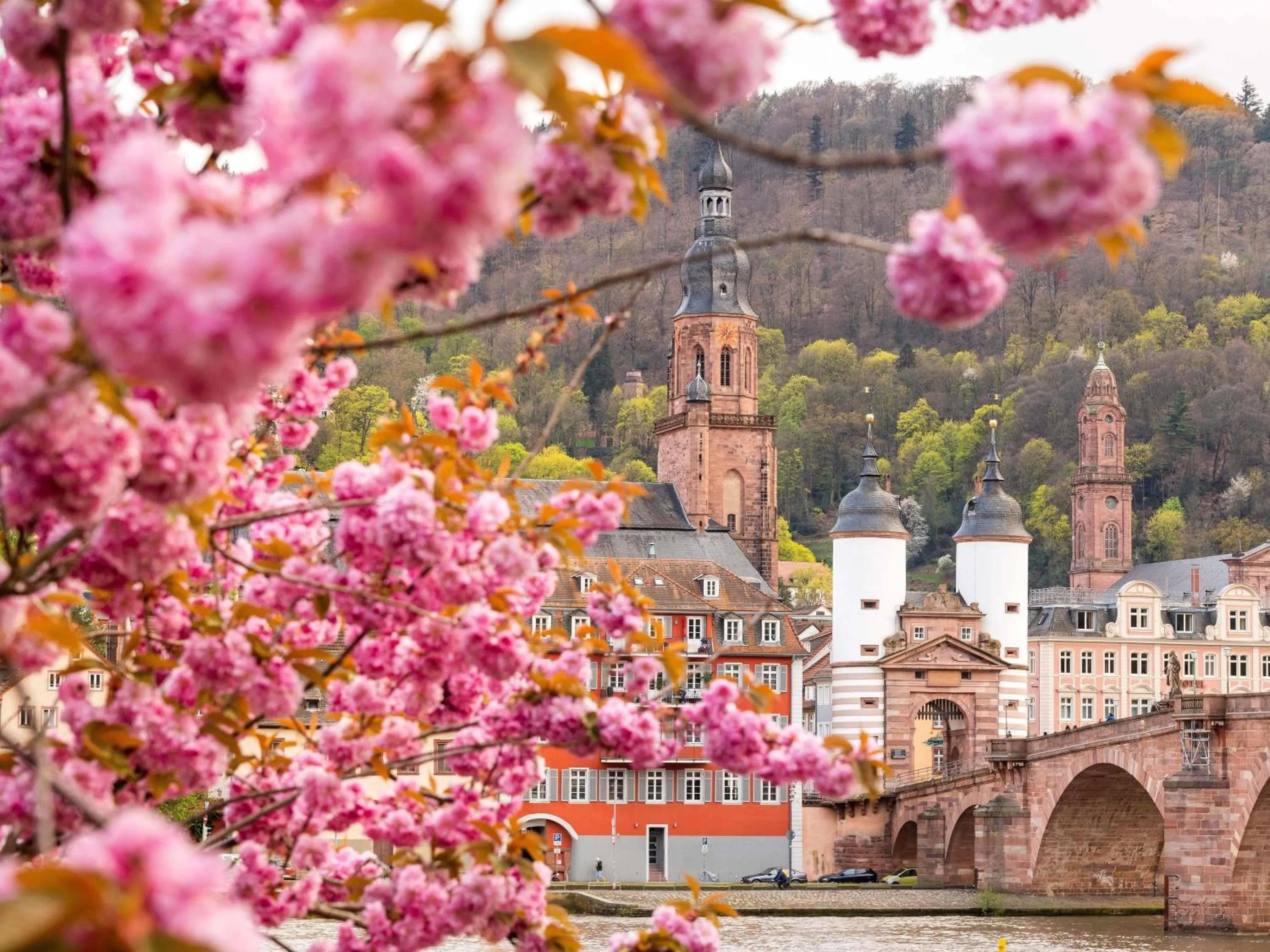 Property building in ibis Heidelberg Hauptbahnhof