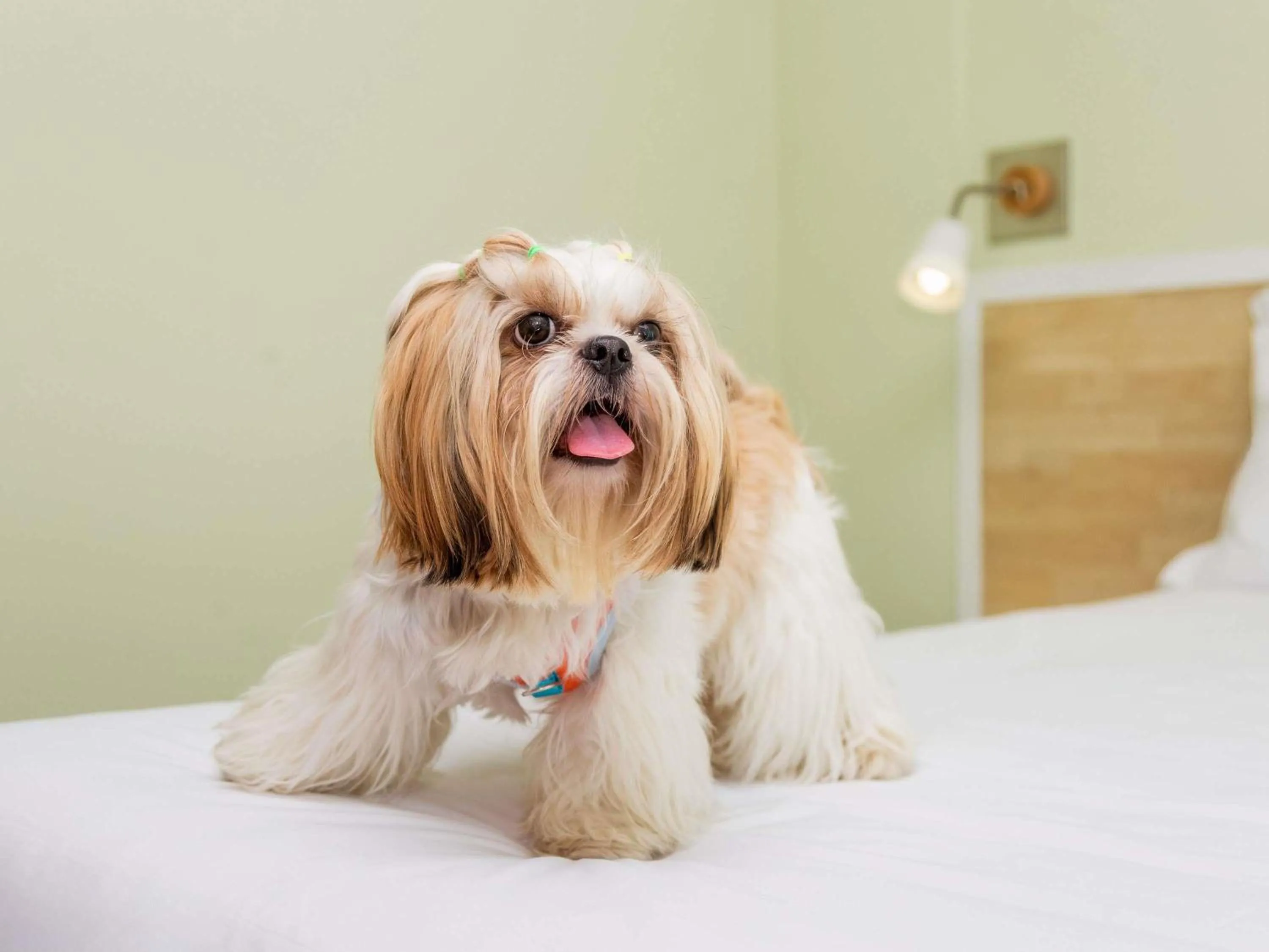 Other in ibis Heidelberg Hauptbahnhof