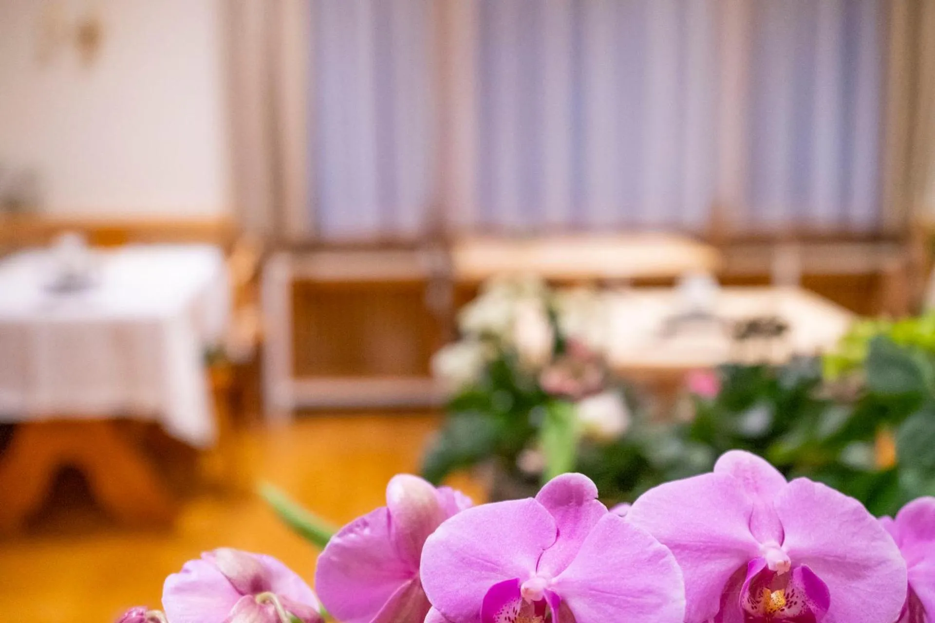 Living room, Bed in NATURION Hotel Hinterzarten