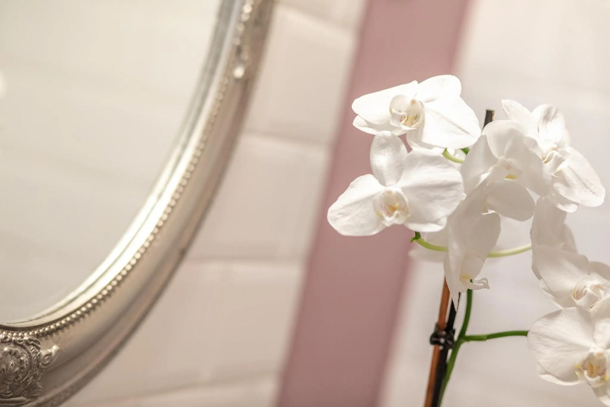 Bathroom in Tarnóca Kúria